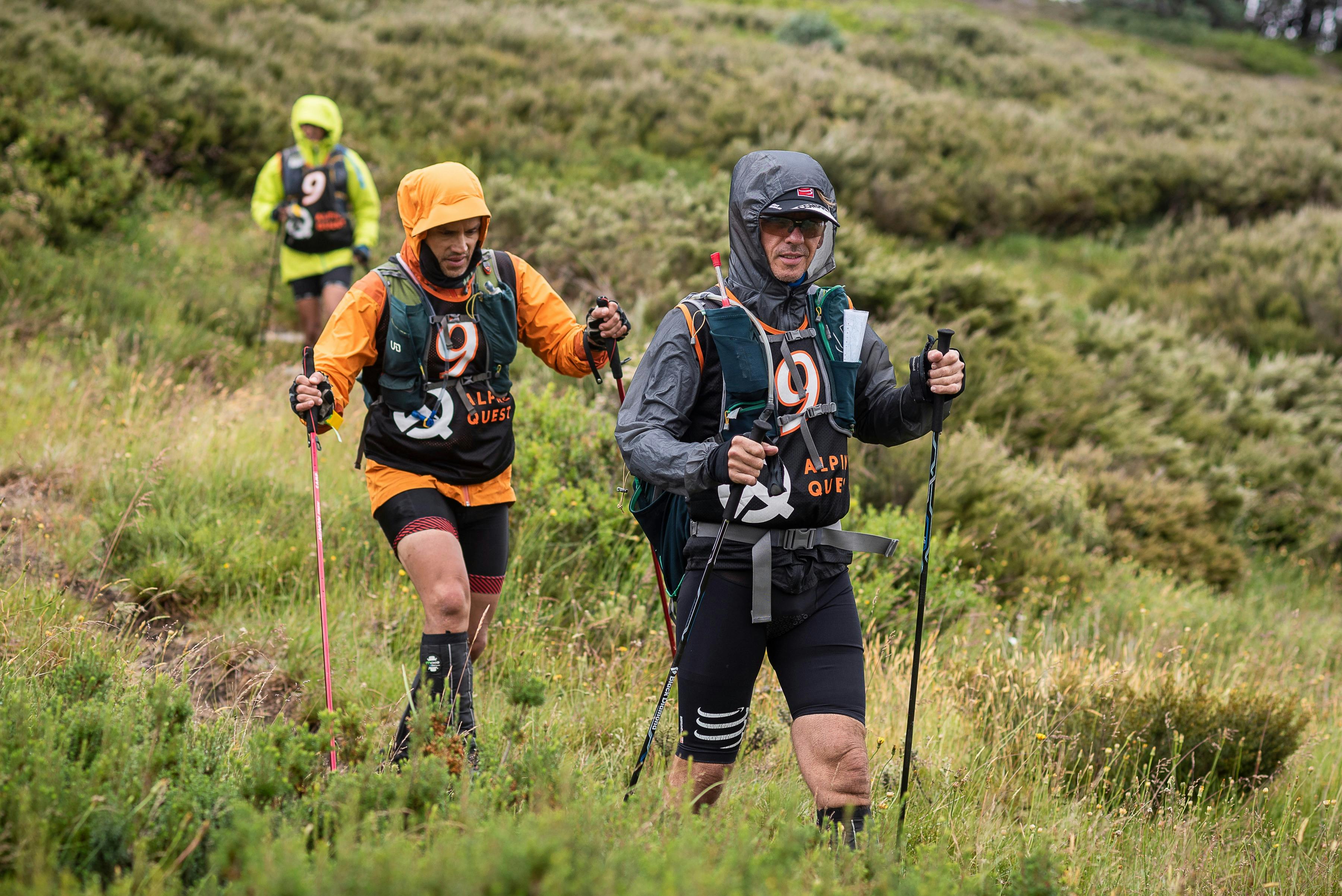 Alpine Quest