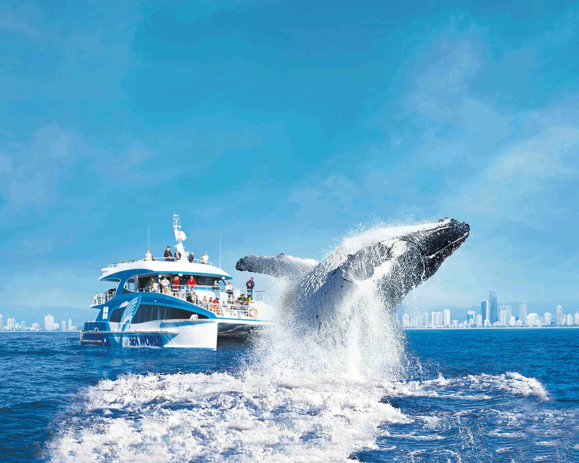 Whale Watching Cruise