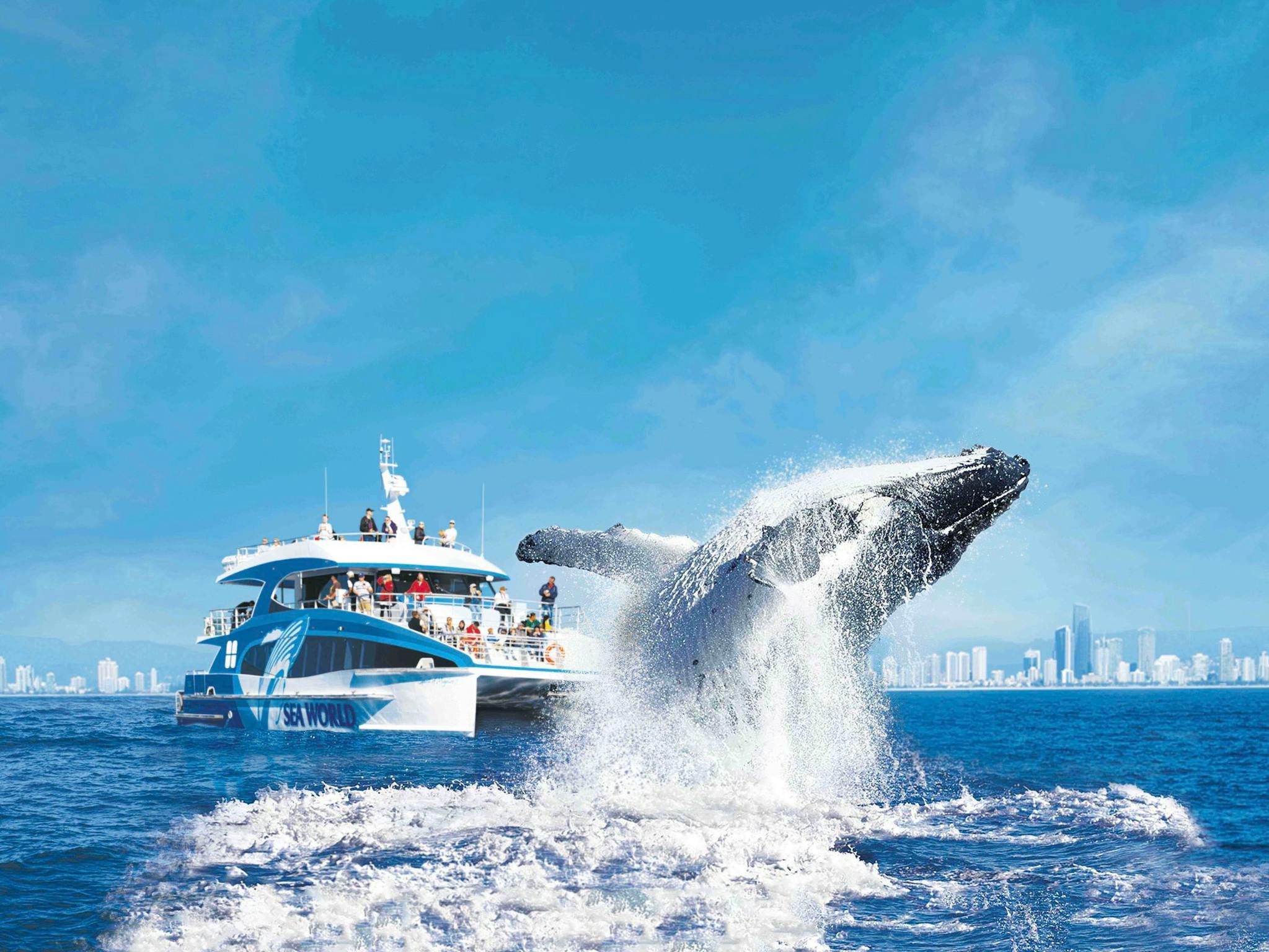 Sea World Cruises Sea World Cruises