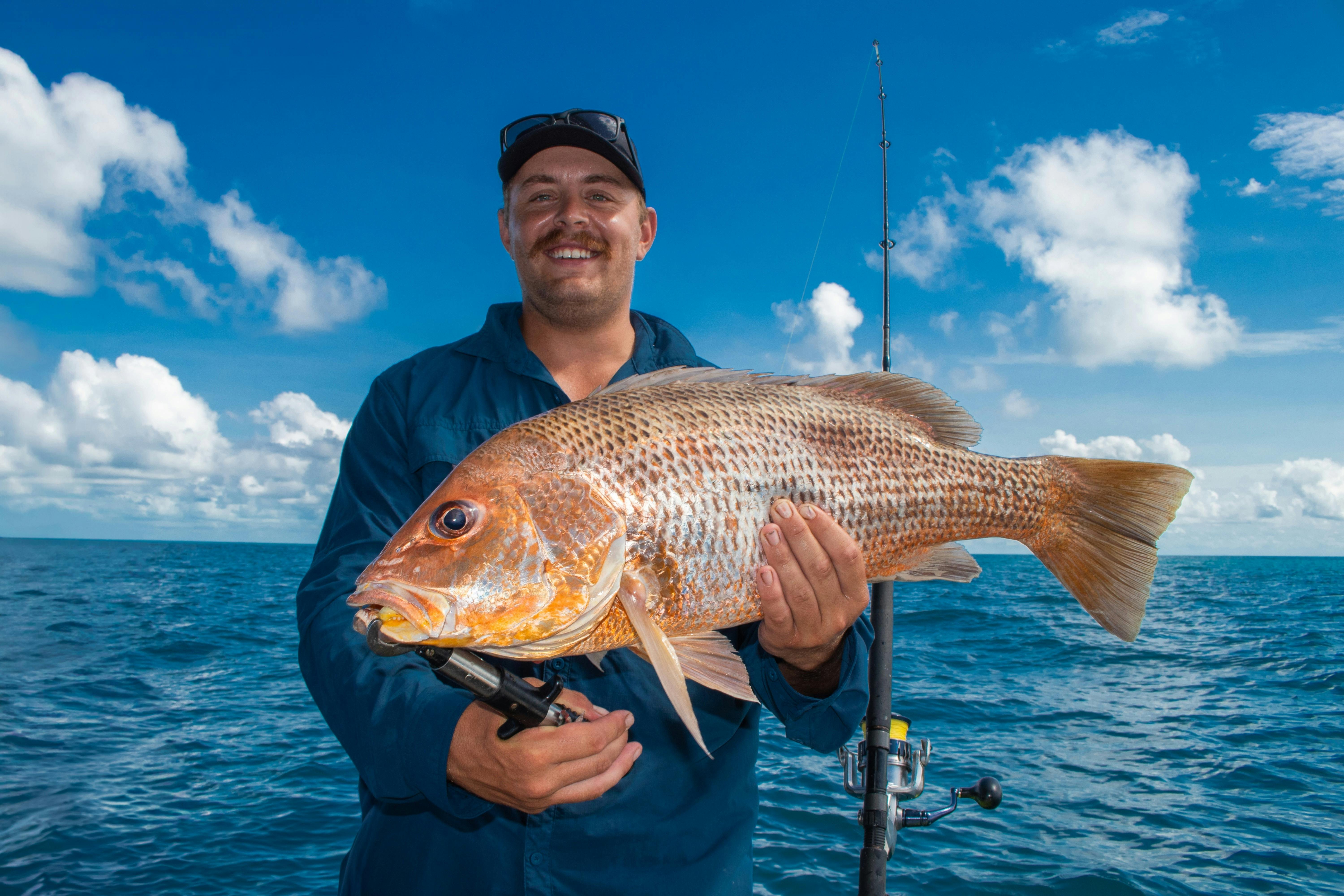 Golden Snapper