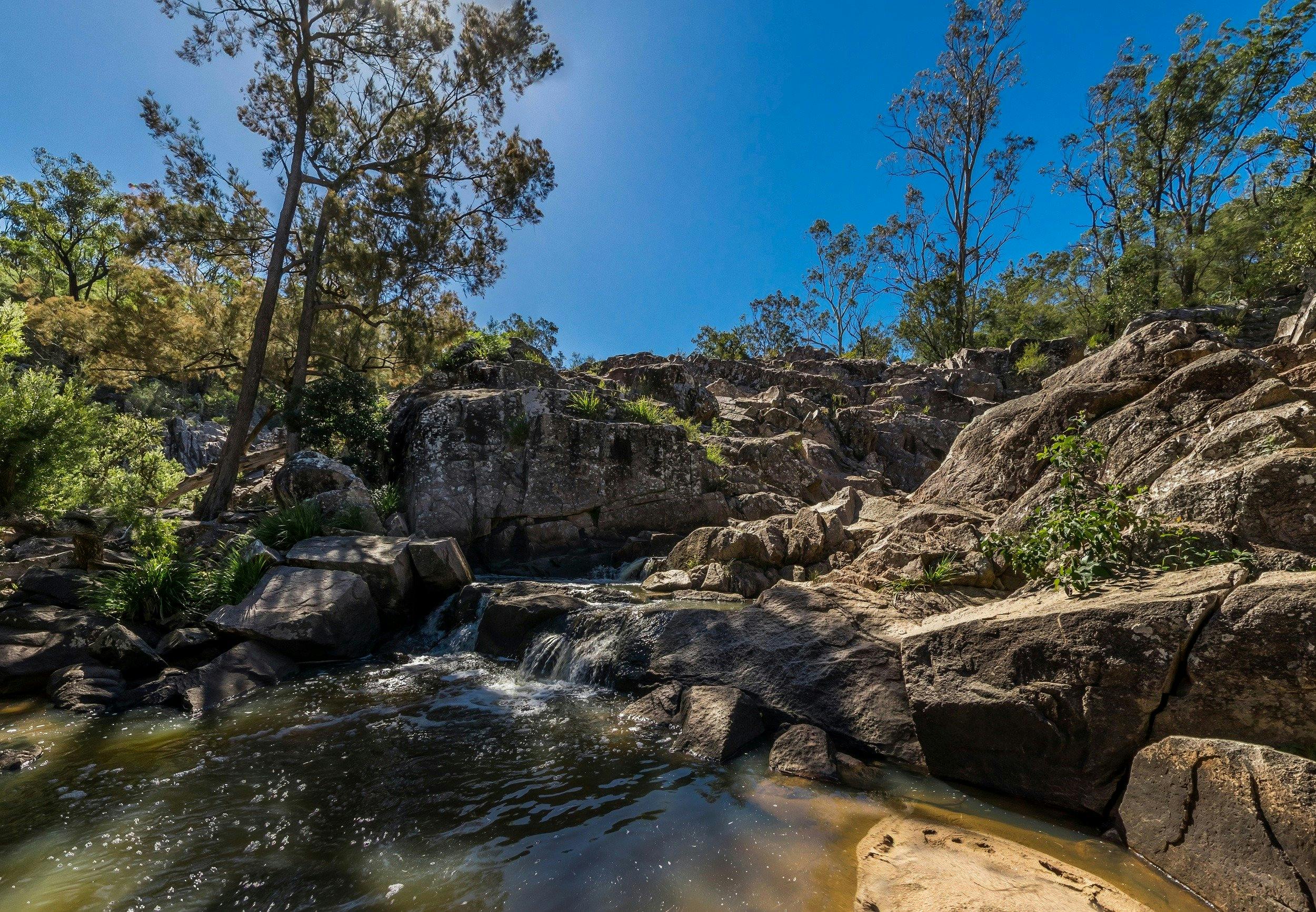 Crows Nest National Park Southern Queensland Country