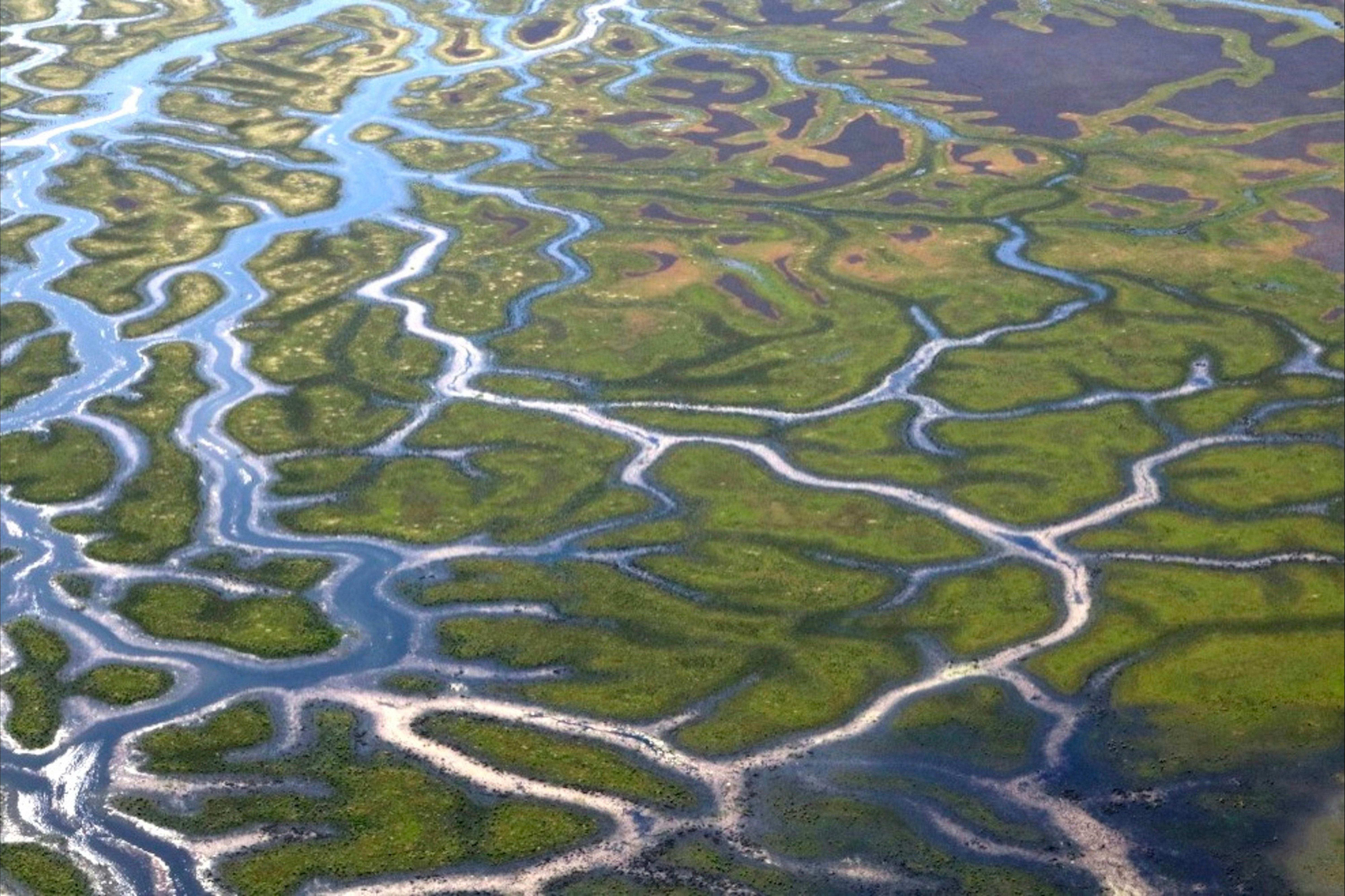 Aerial image showing green and blue patterns of water courses.