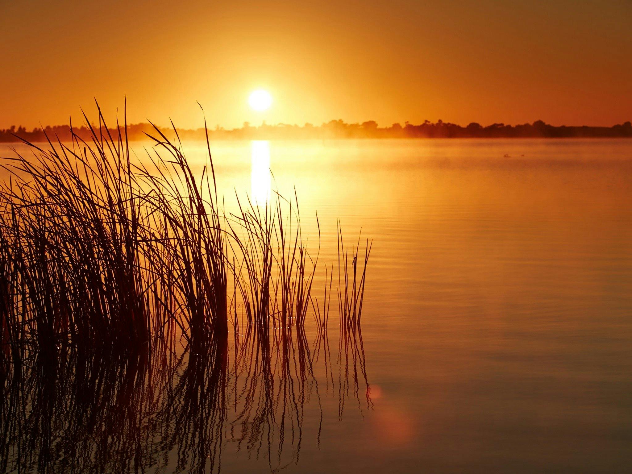 Lake Boga