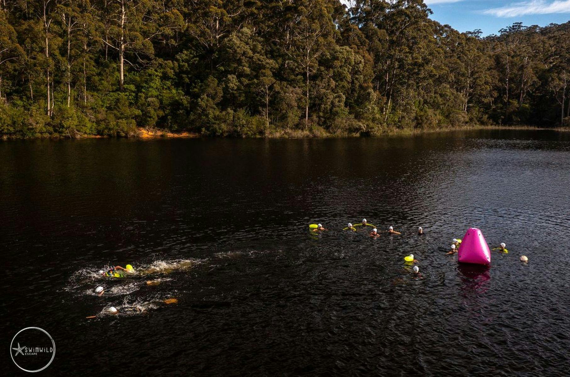 Swimwild Escape
