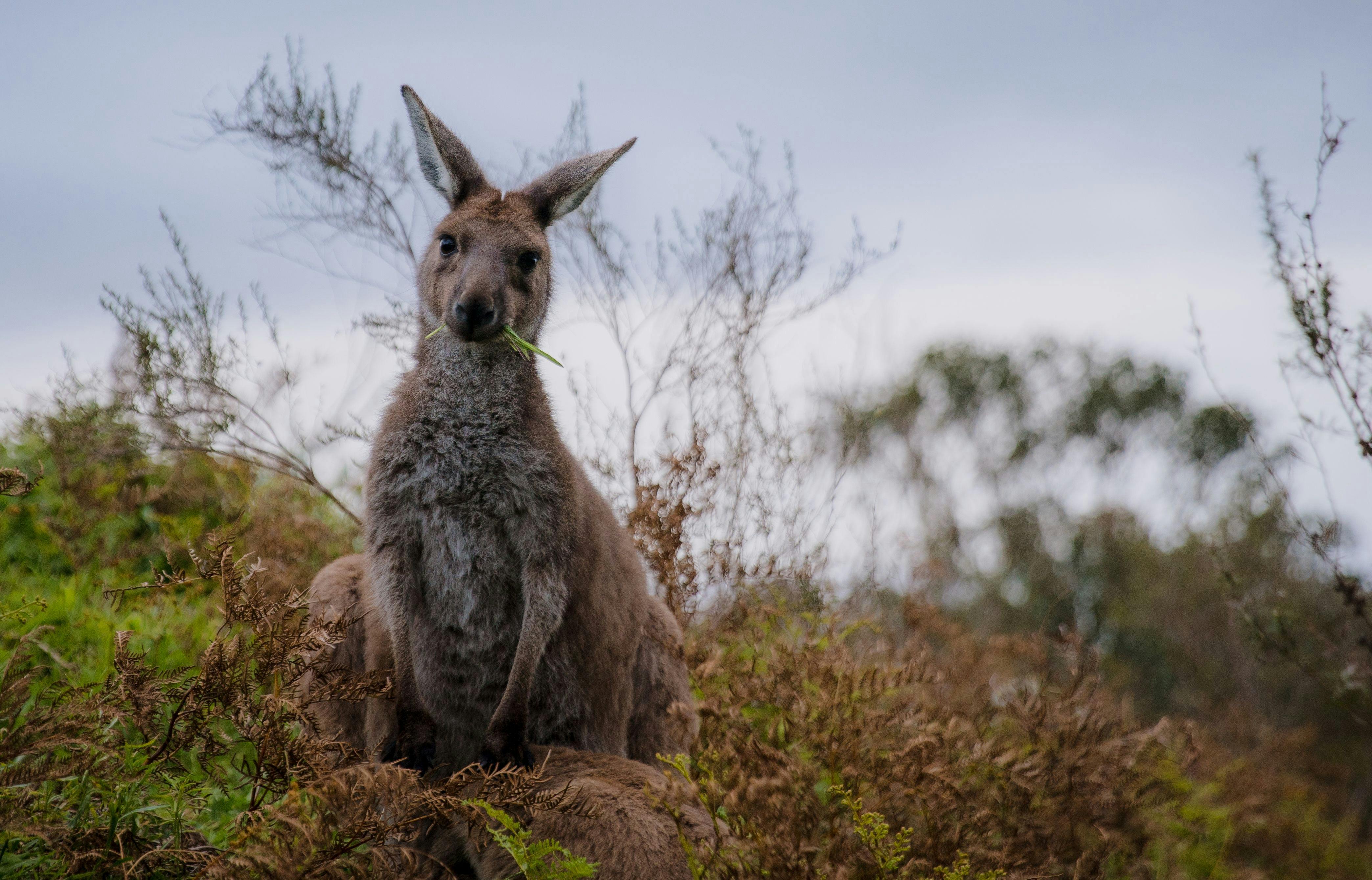 Private photography tours
