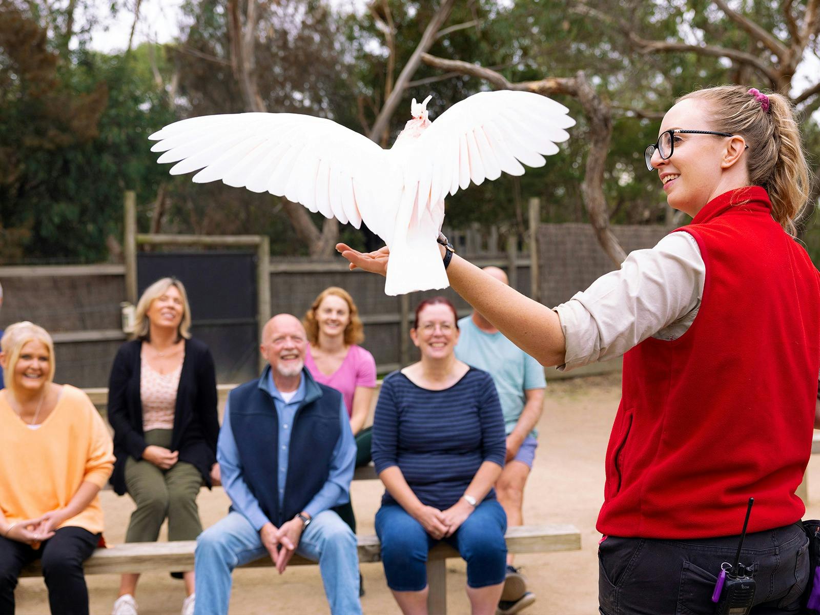 A Keeper displays a pink cockatoo to a group of seated people