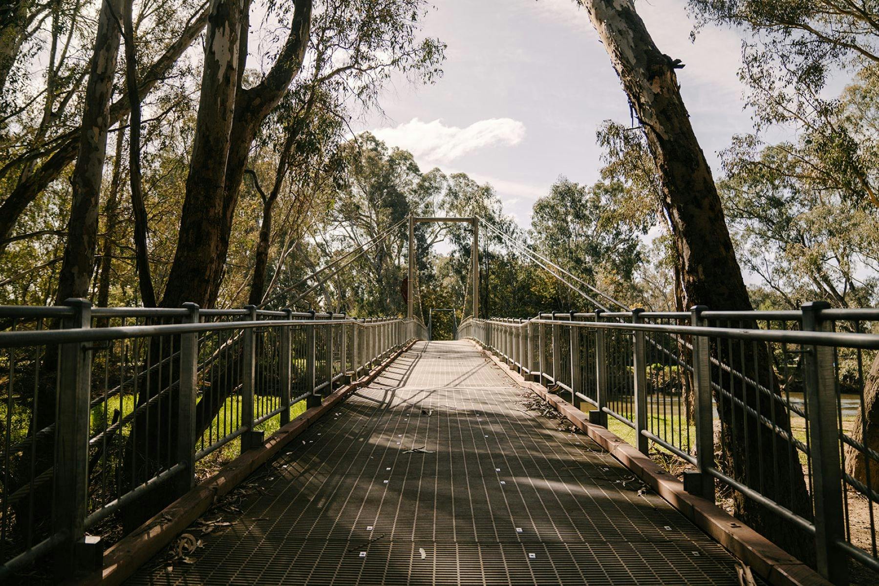 Grey bridge lined with tall gumtrees