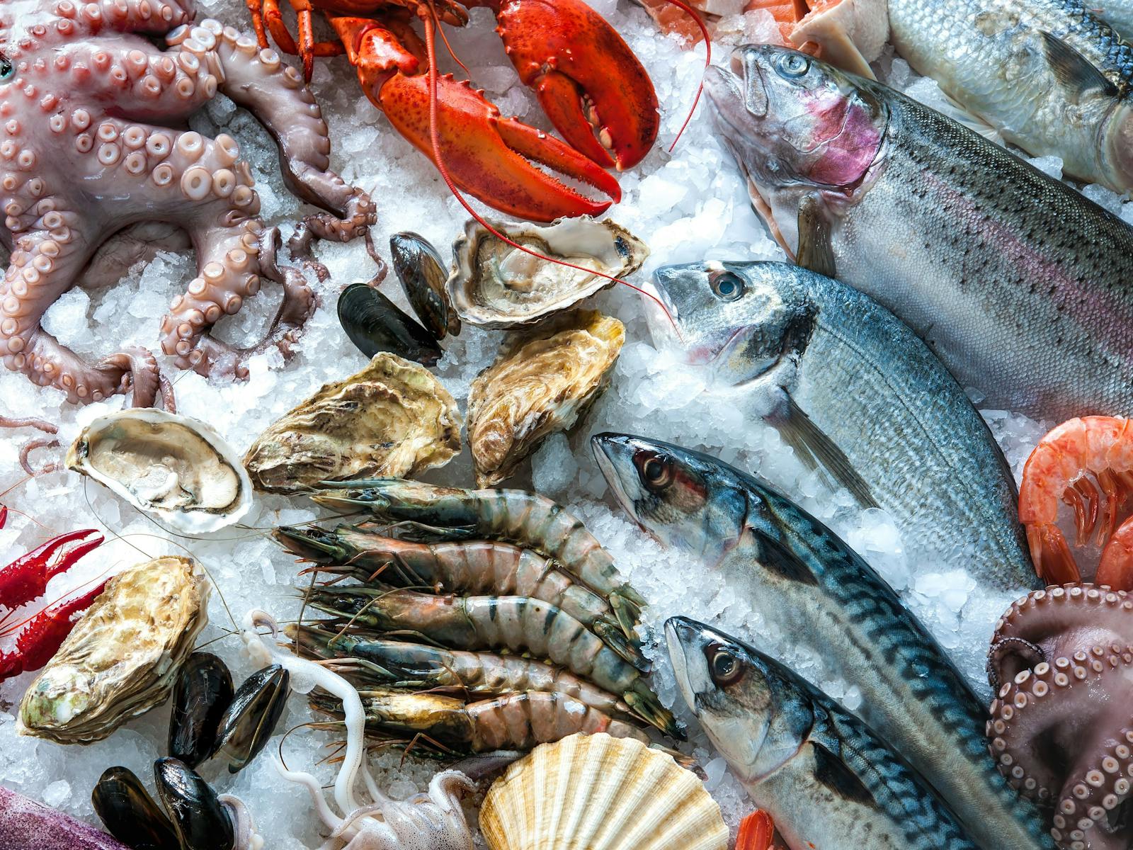 Image for Seafood - Taste of the Coast