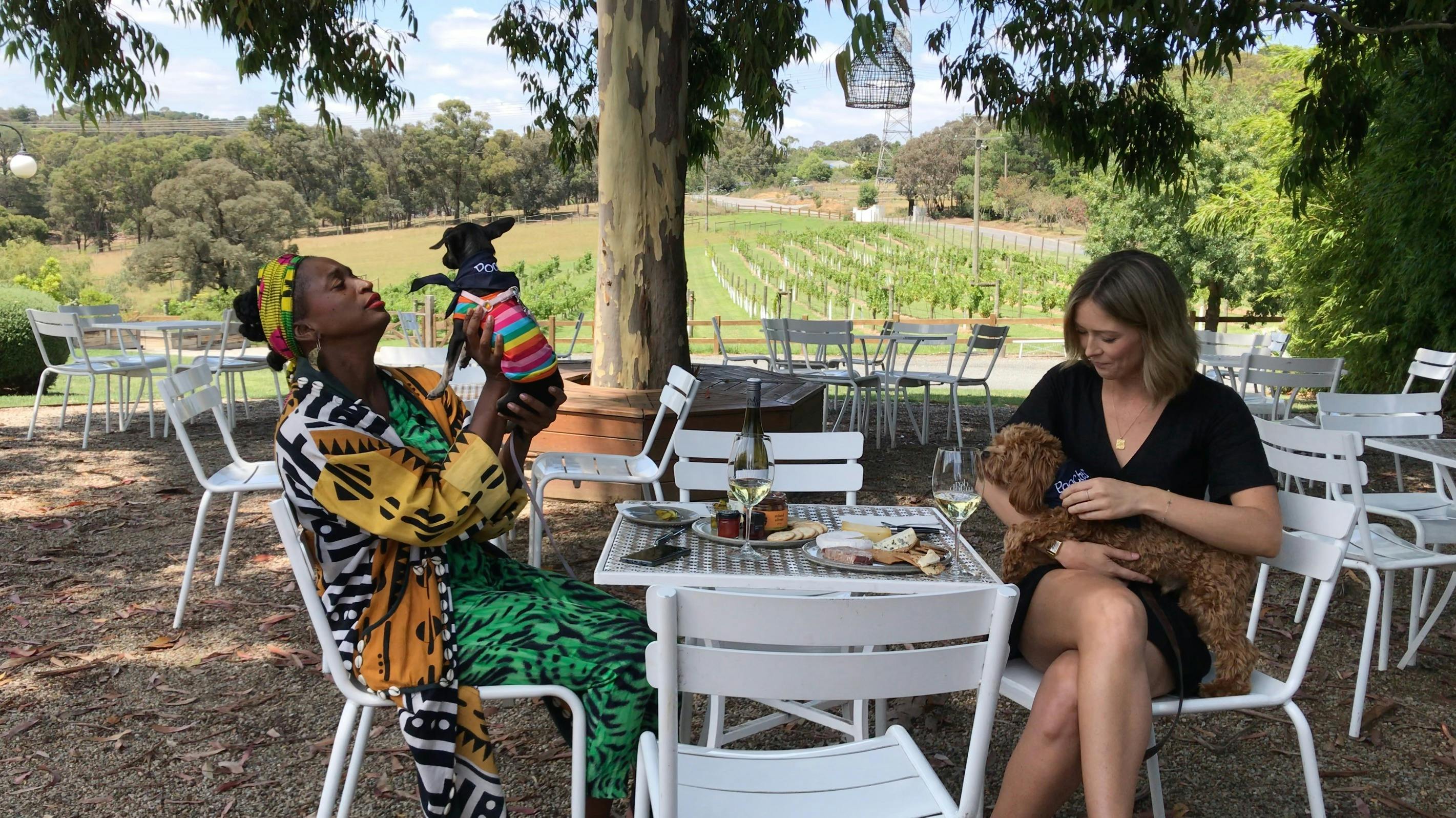 Lunch with your dog at a winery with Pooches & Pinot private VIP dog-friendly winery tours