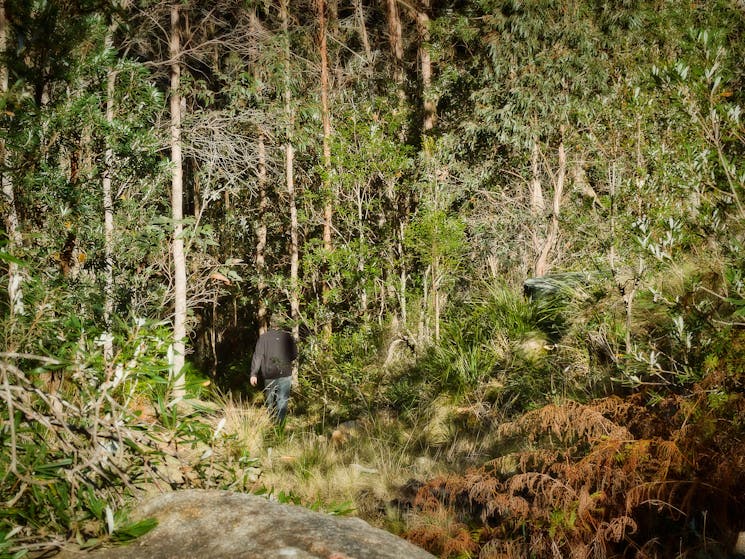 Moffat Falls Cottage And Cabins Armidale Visitnsw Com