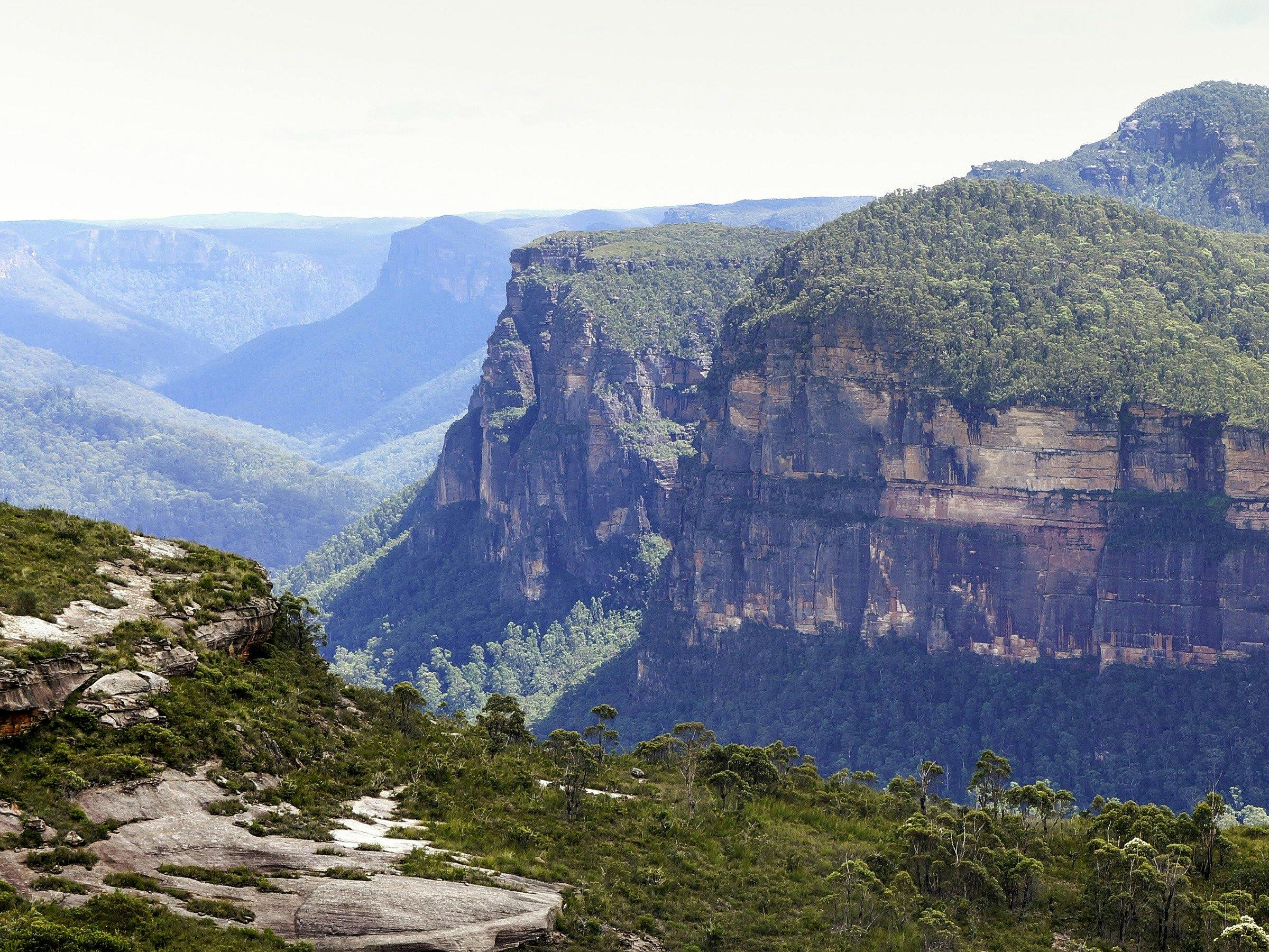 Lockleys Pylon walking track