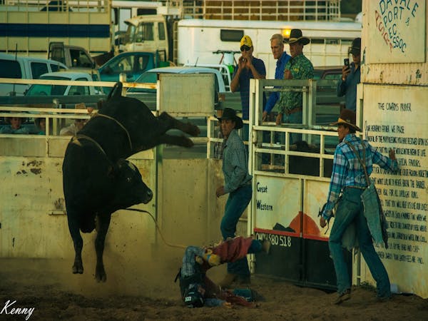 Adavale's Muster in the Mulga