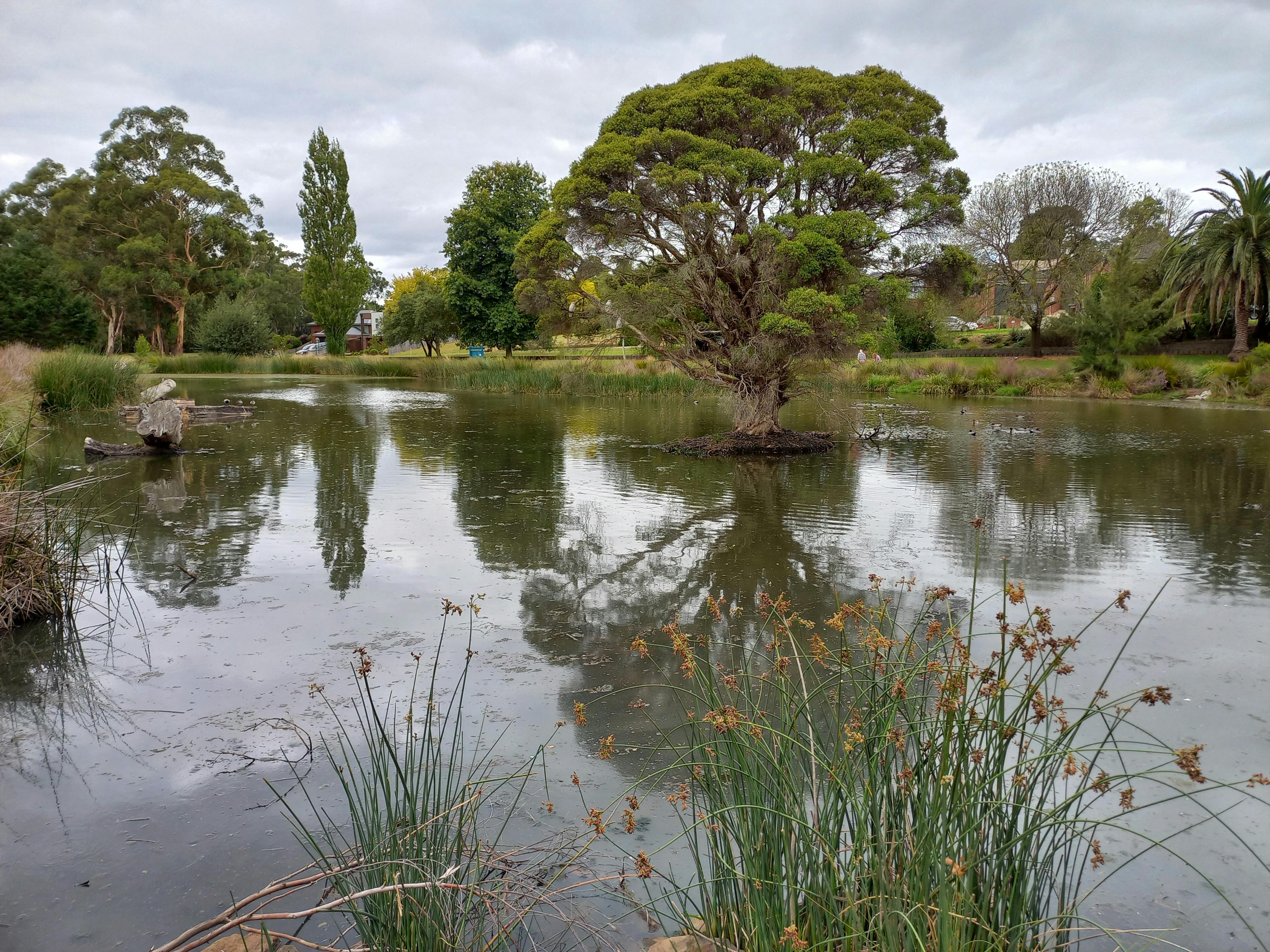 Alex Goudie native park walk
