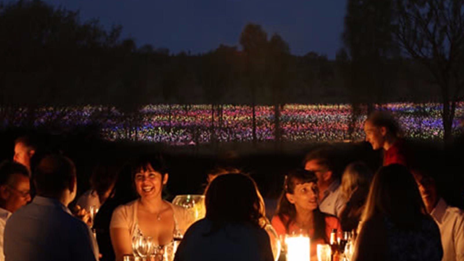 Field of Light Tours