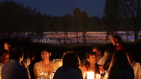 'A Night at Field of Light’ experience