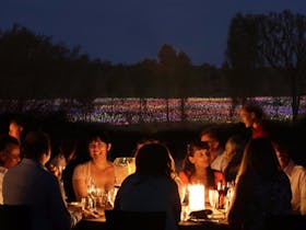 'A Night at Field of Light’ experience