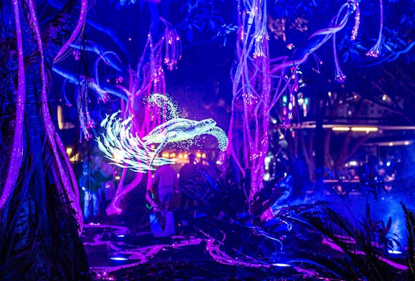 The Enchanted Forest - Tides of Treasure