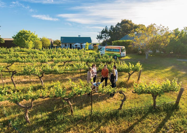 Barossa Valley Highlights tour