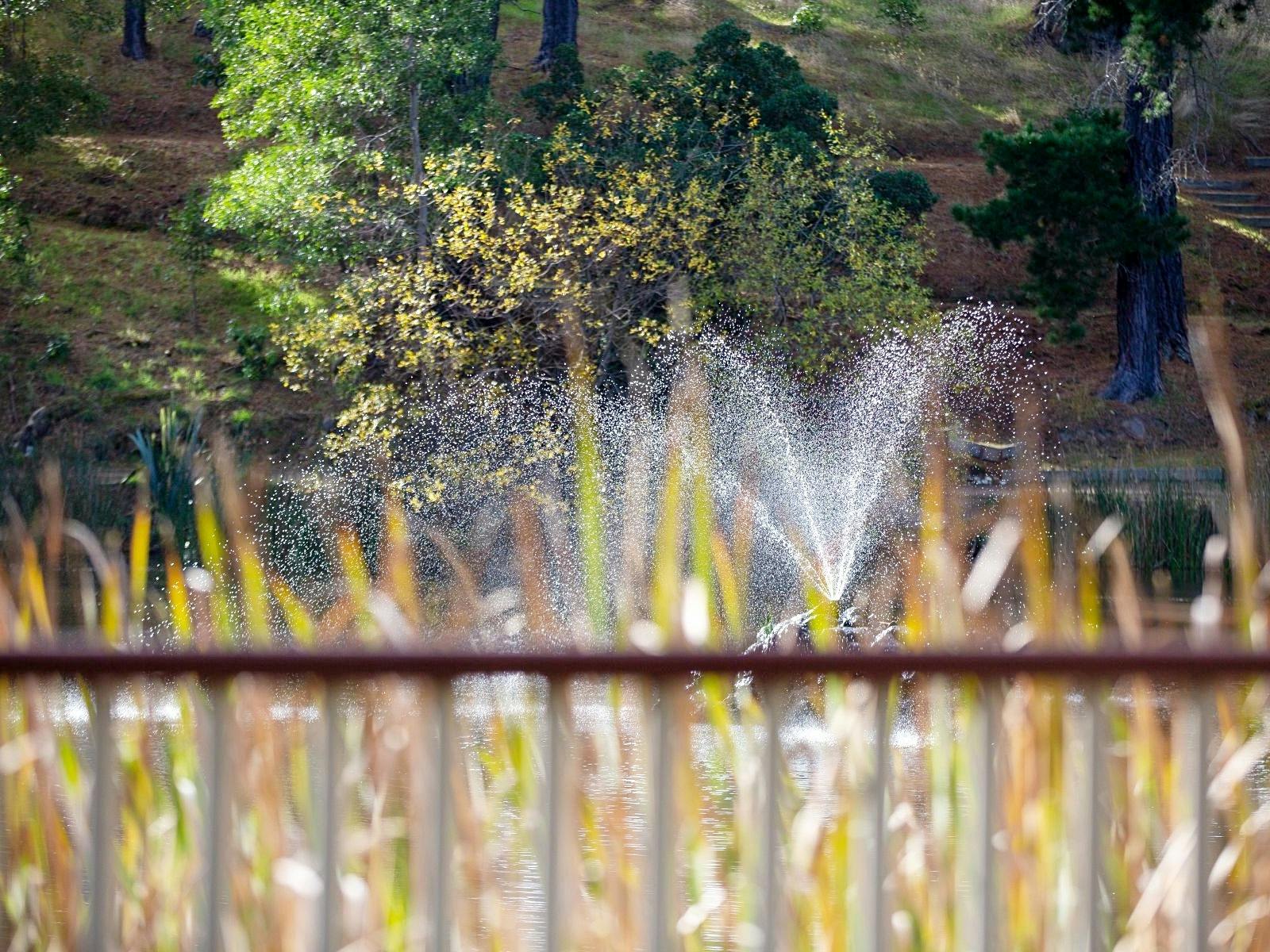 Creswick of the Lindsays Arts Trail