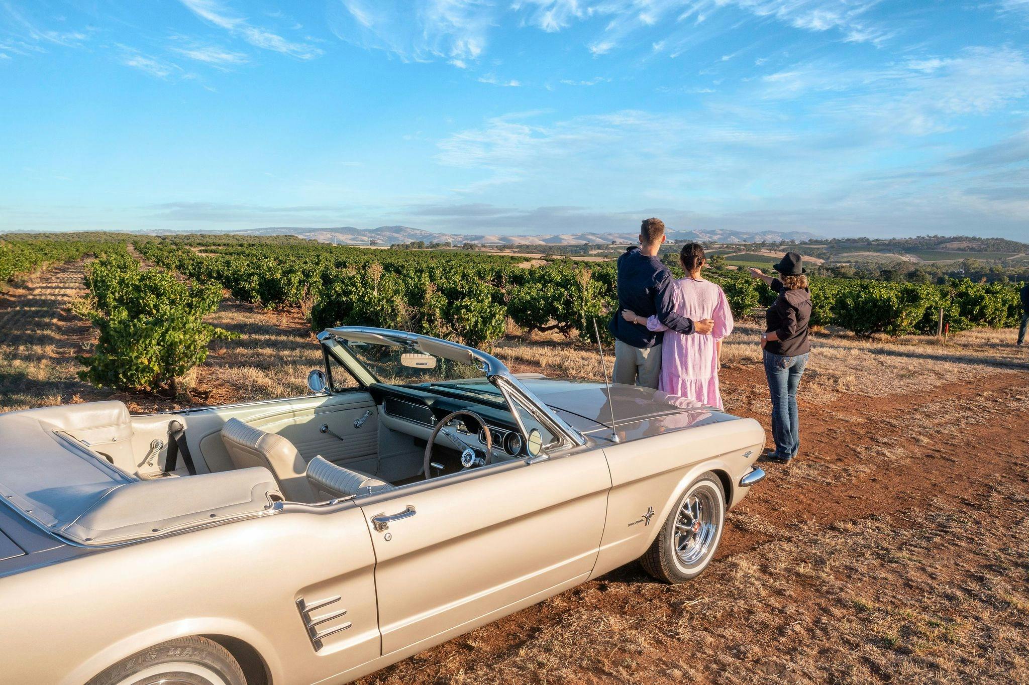 Mustang touring