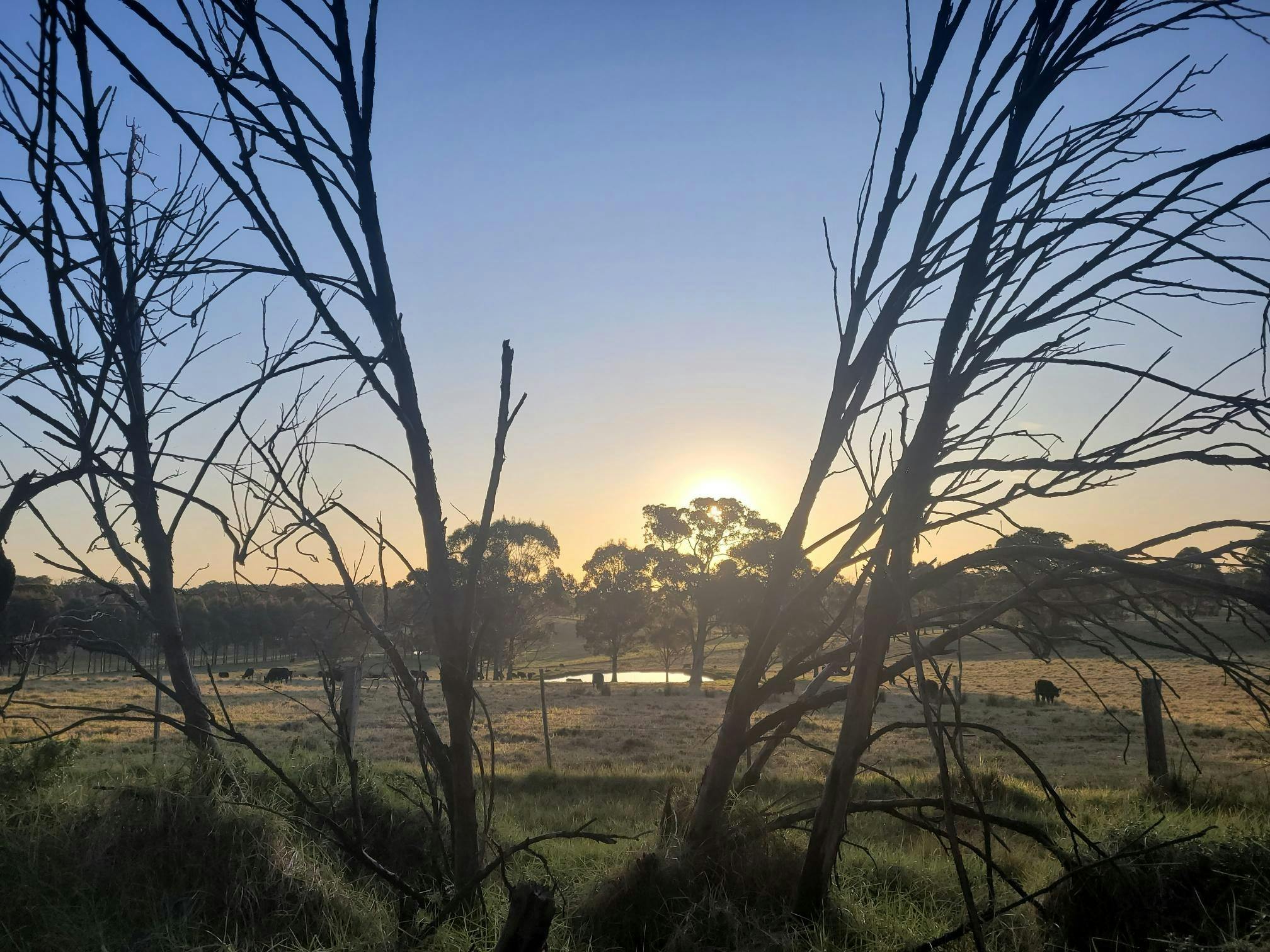 property surrounded by rolling hills