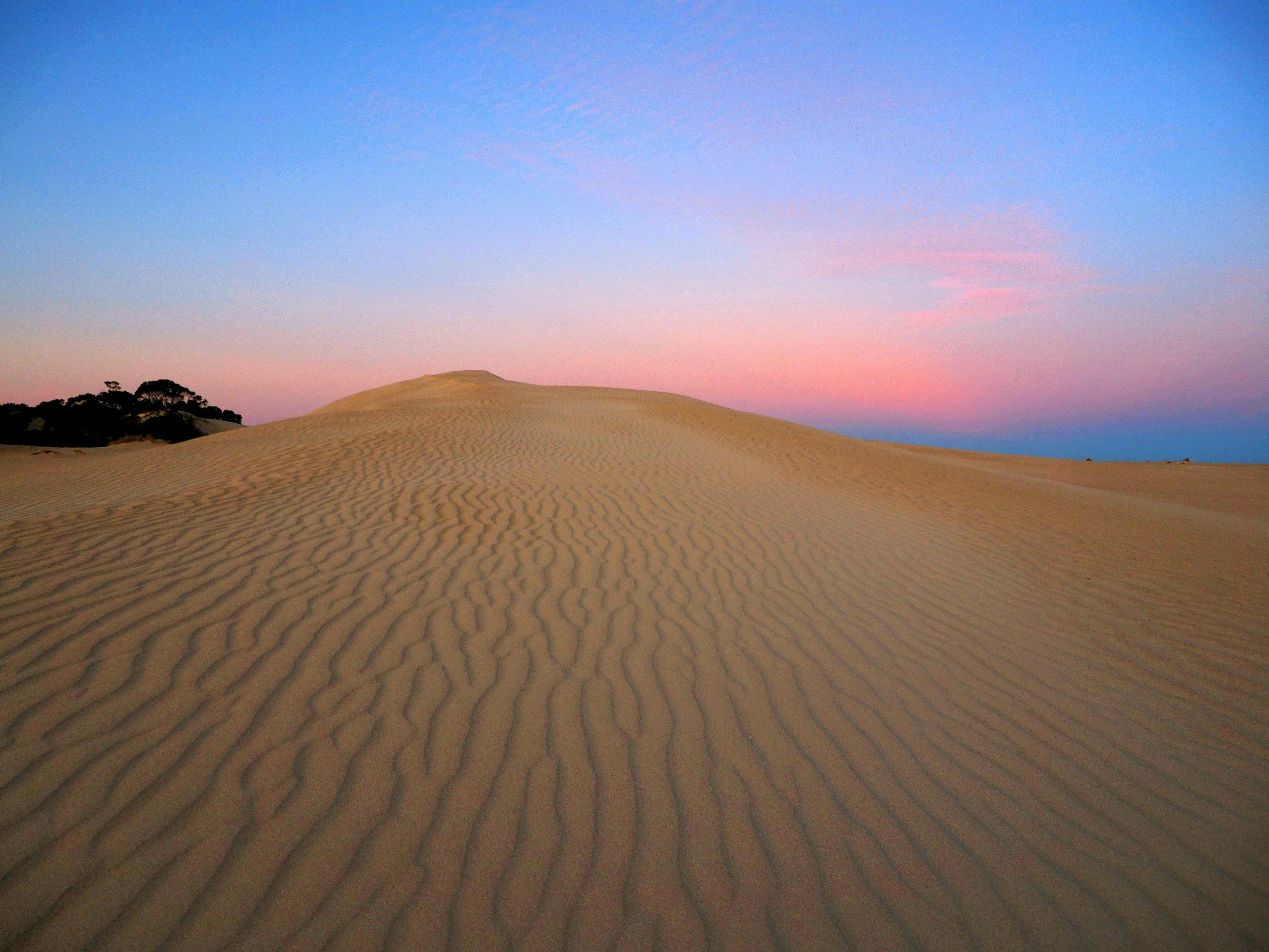 Sunset Dunes
