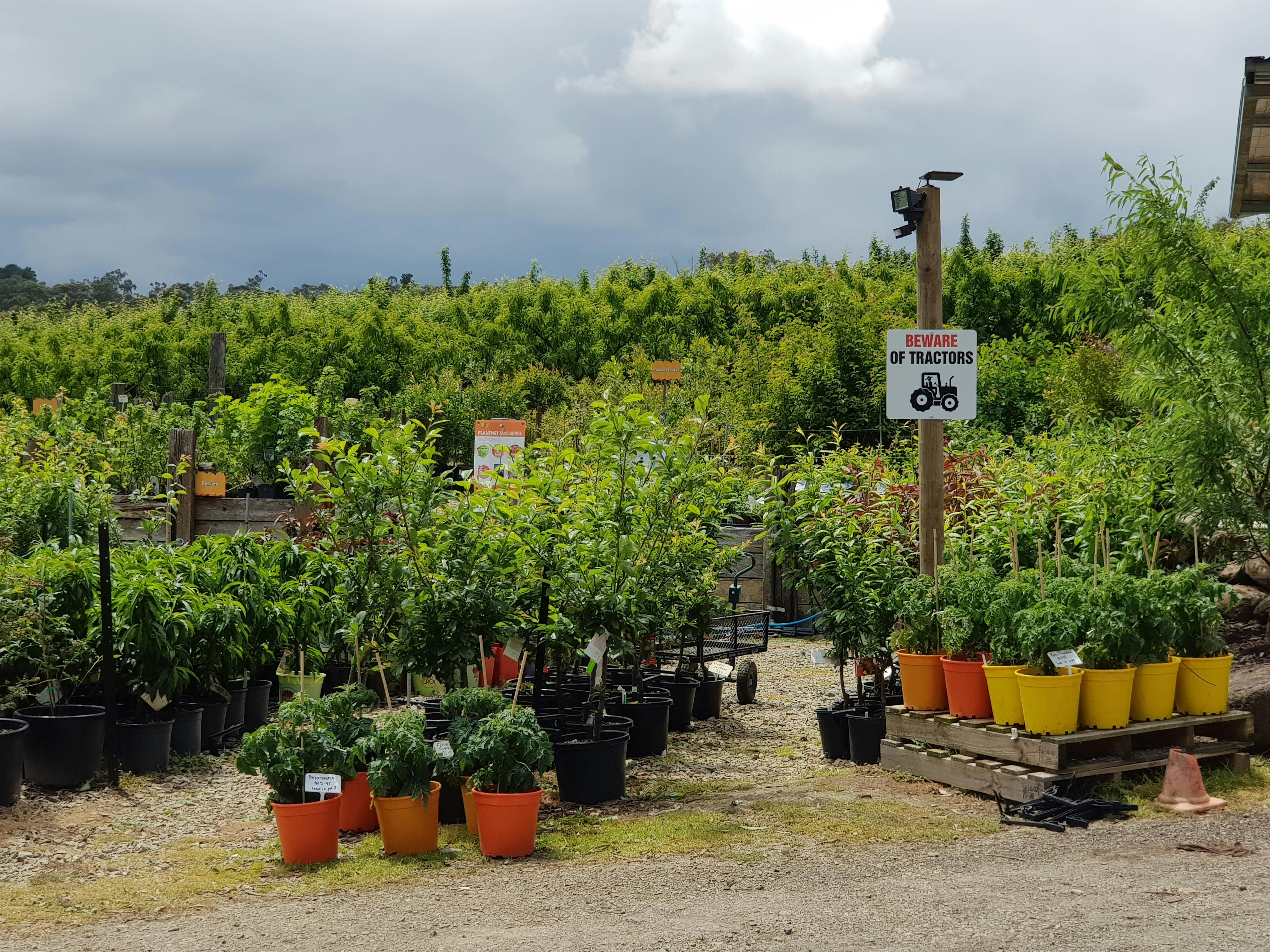Rayners Orchard