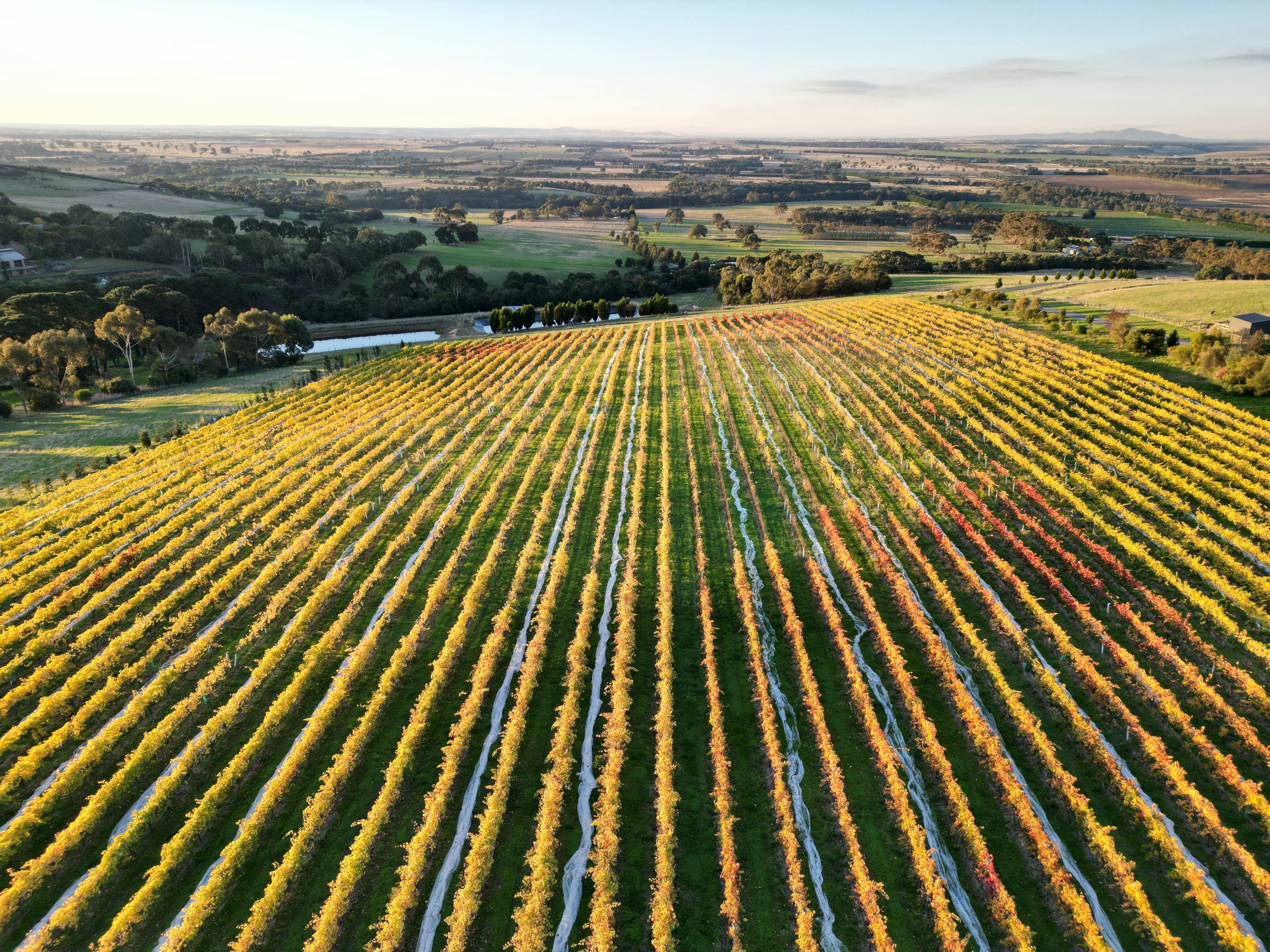 Barwon Ridge from the air.