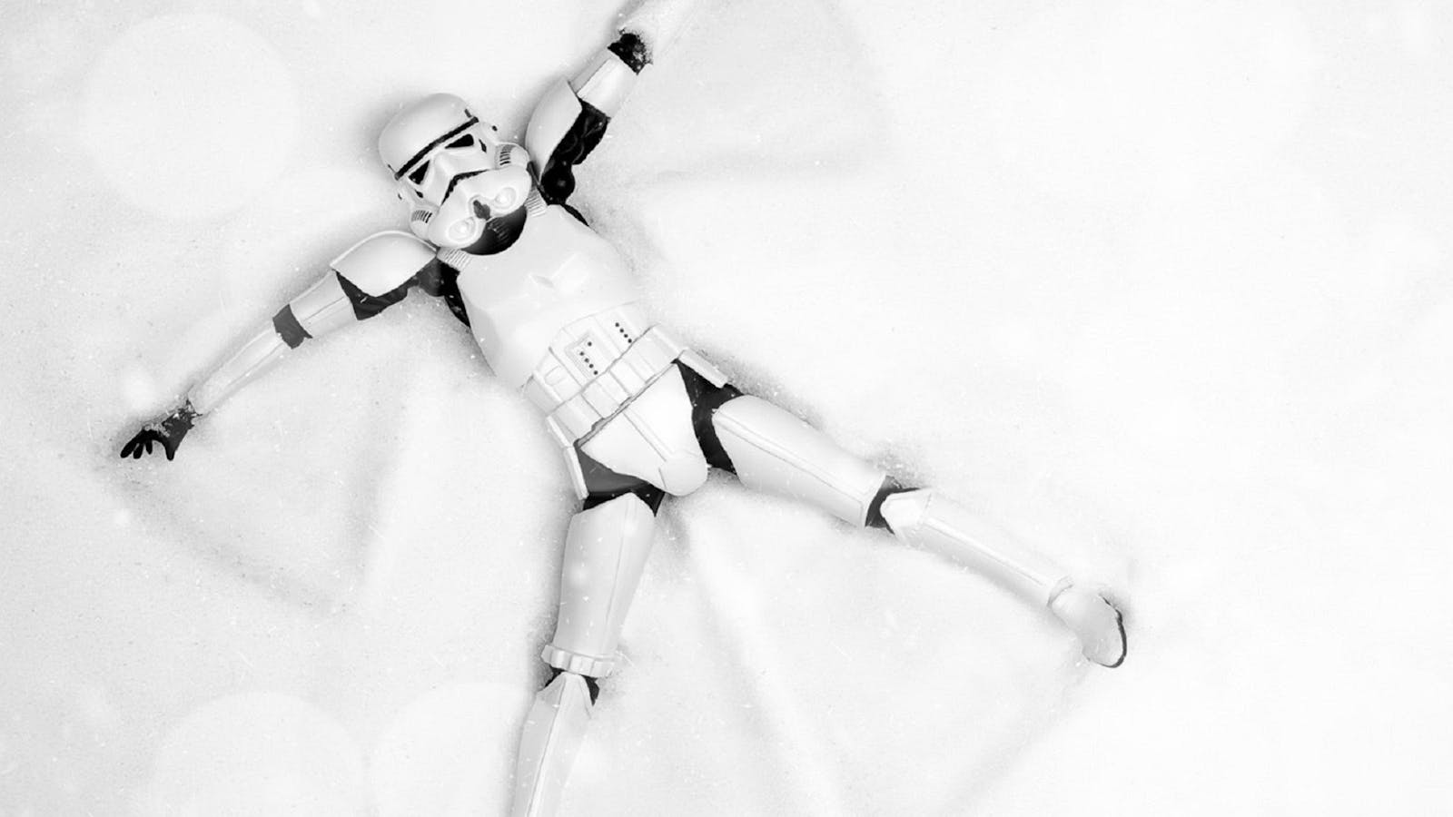 Image for May the 4th be with you at Ice Zoo - Cancelled due to Lock Down