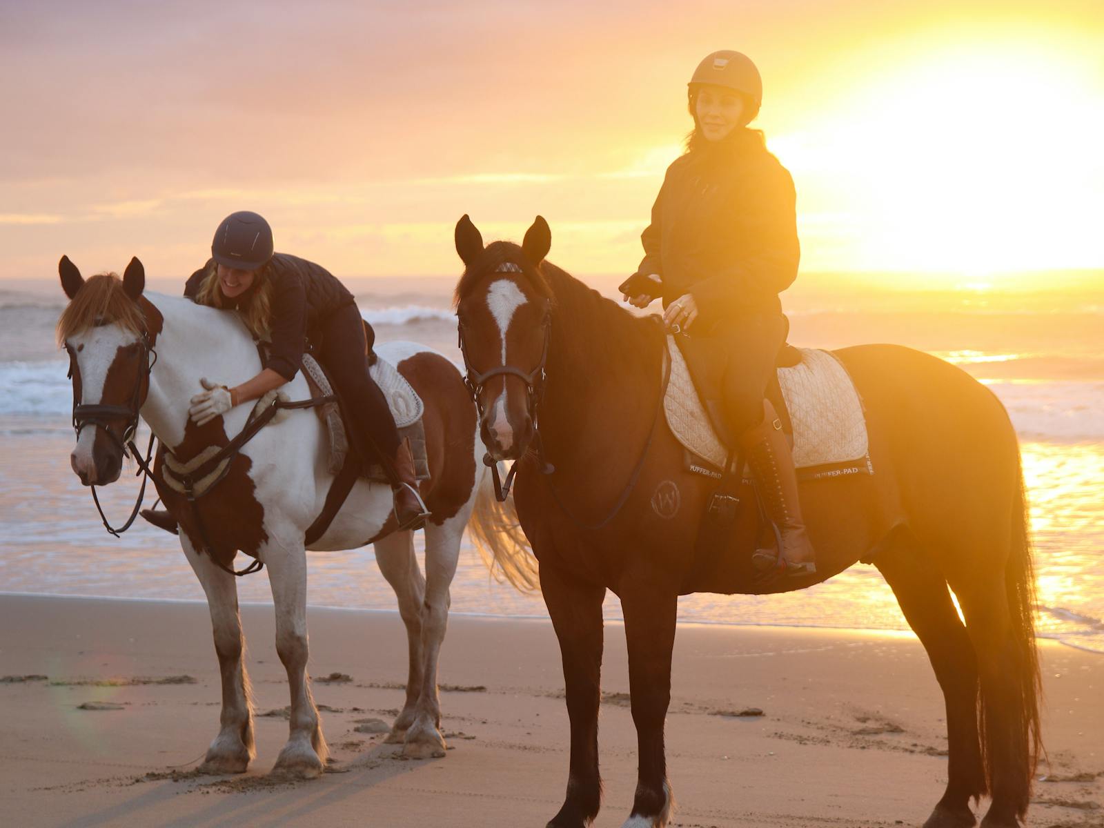 Regal Riding School - Shoalhaven - South Coast NSW