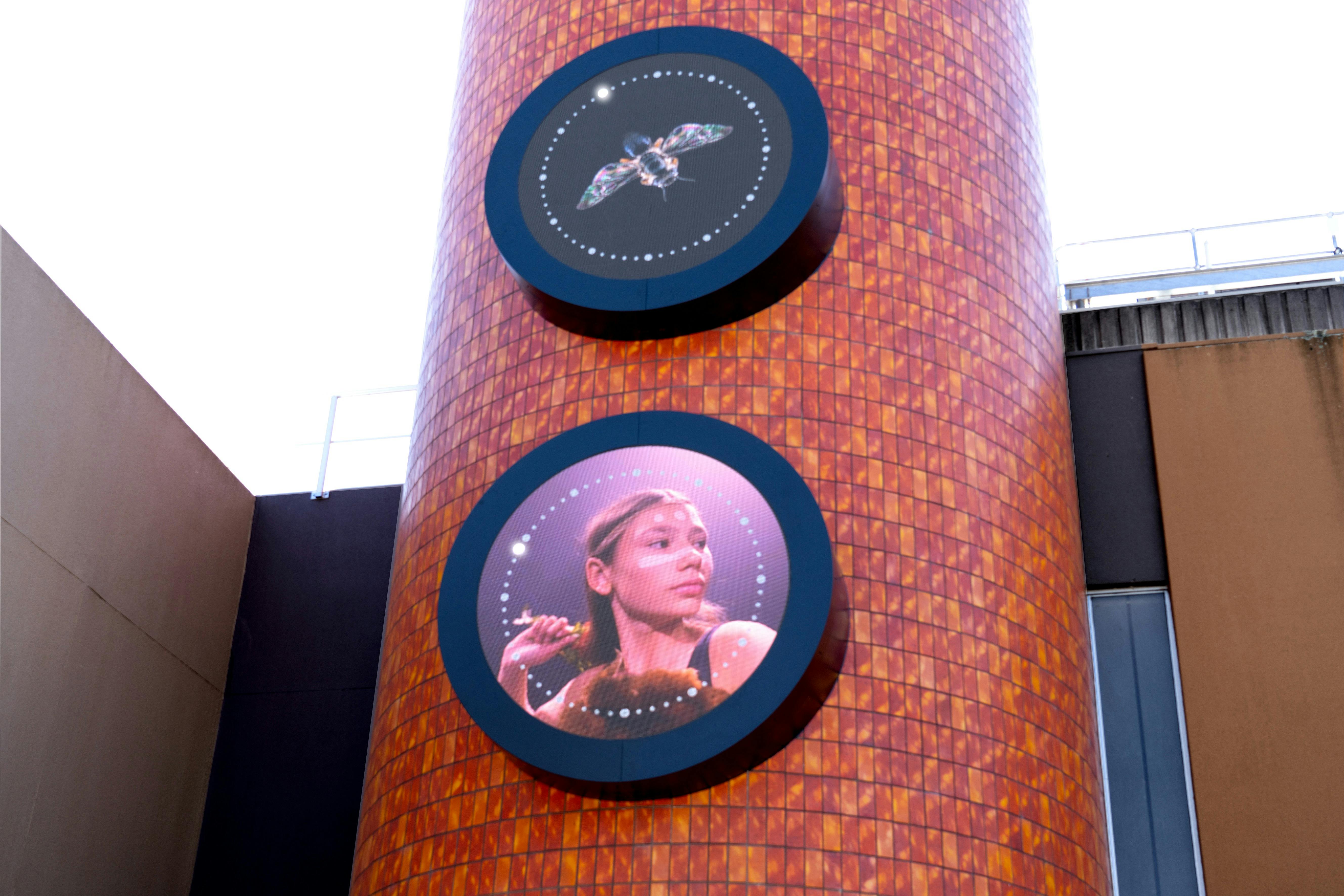 Visually striking Dancing with Bees by Zanny Begg featuring young dancers from the Central West.