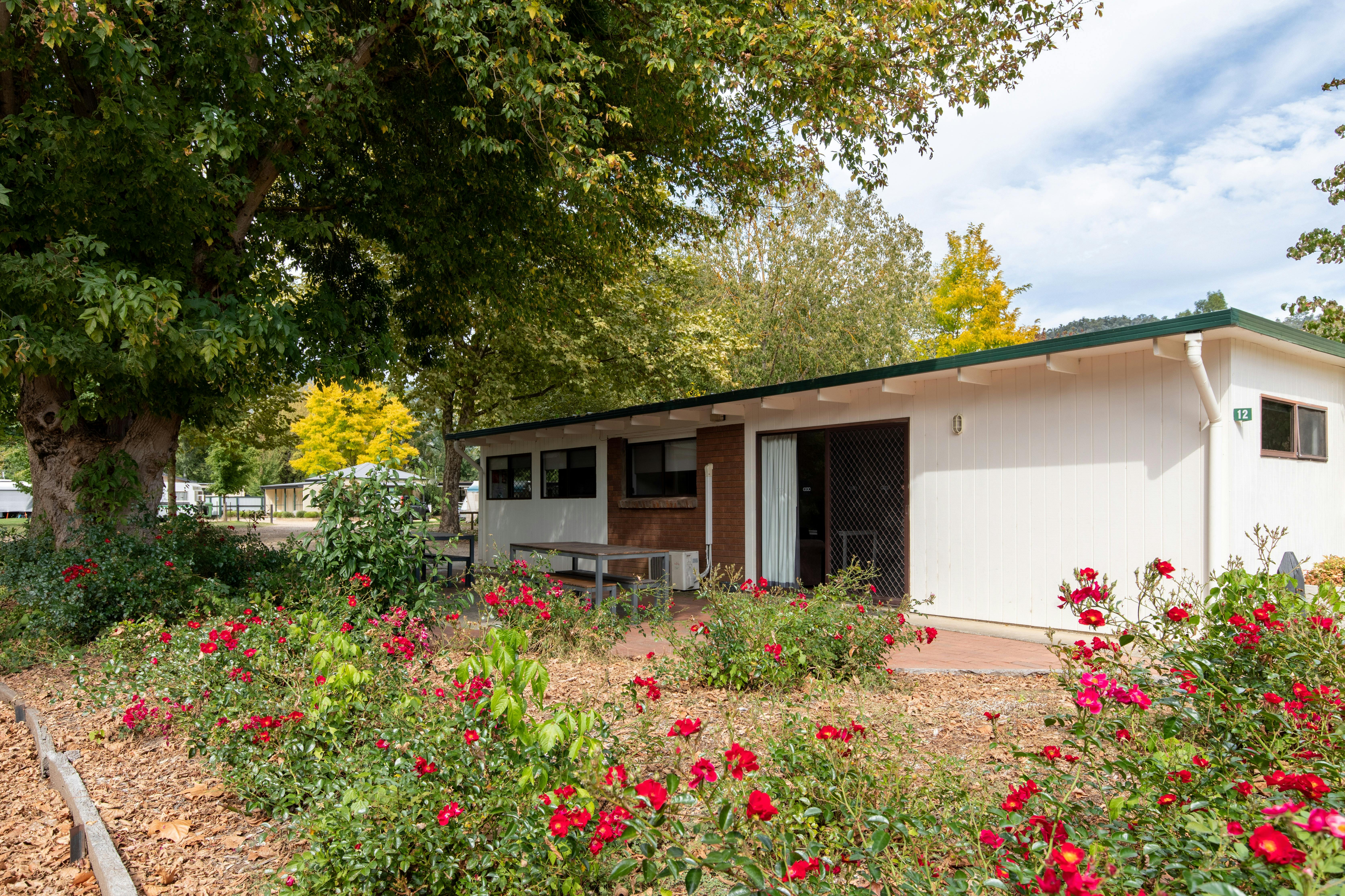 Family Cabin - Outside