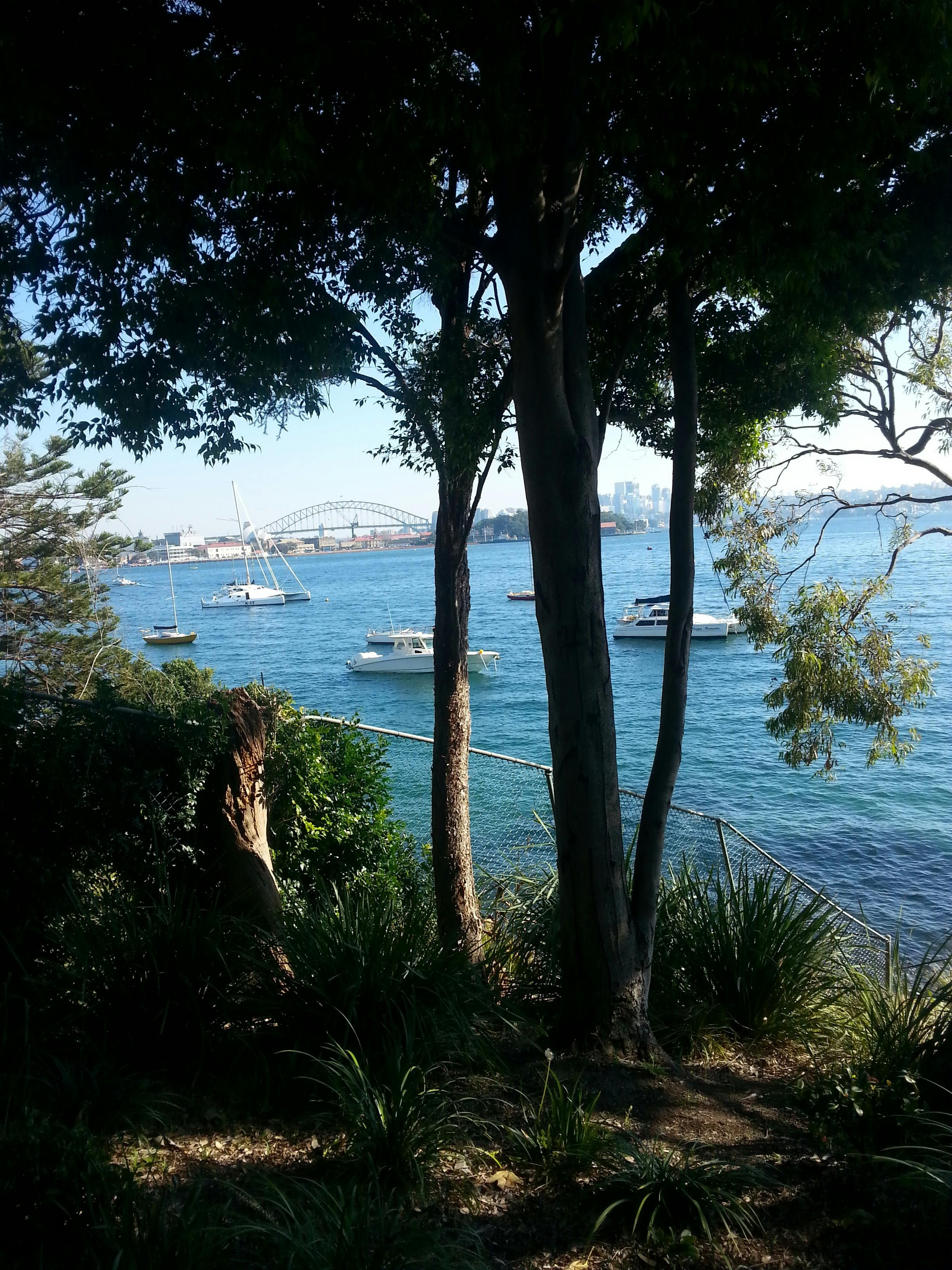 Real Sydney Tours Secret Sydney