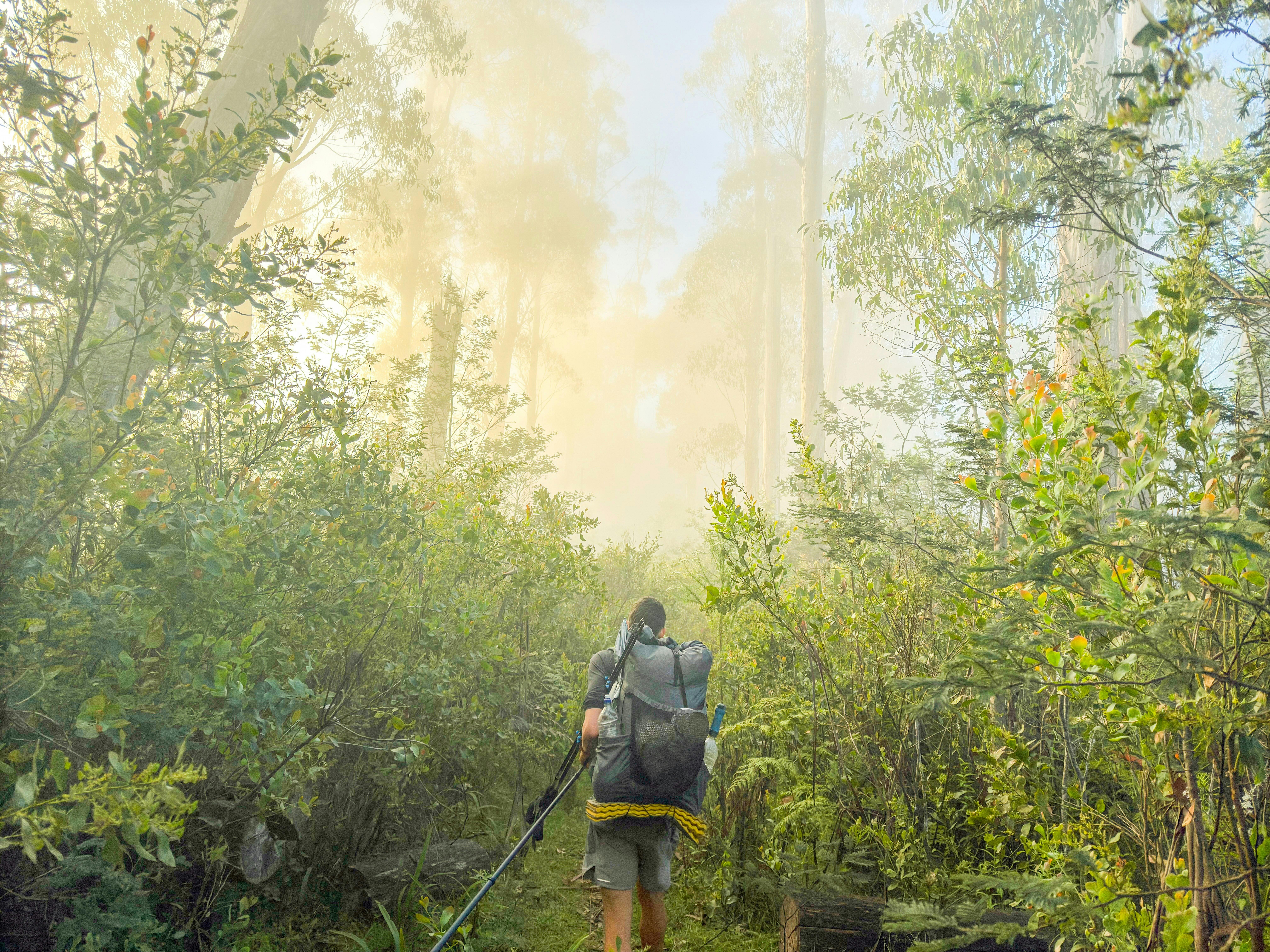 Razor-Viking Wilderness