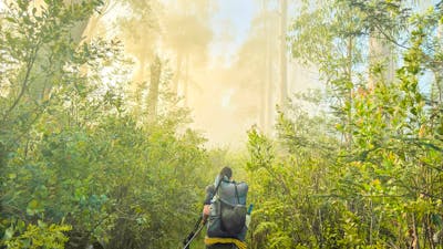 Razor-Viking Wilderness