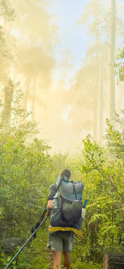 Razor-Viking Wilderness