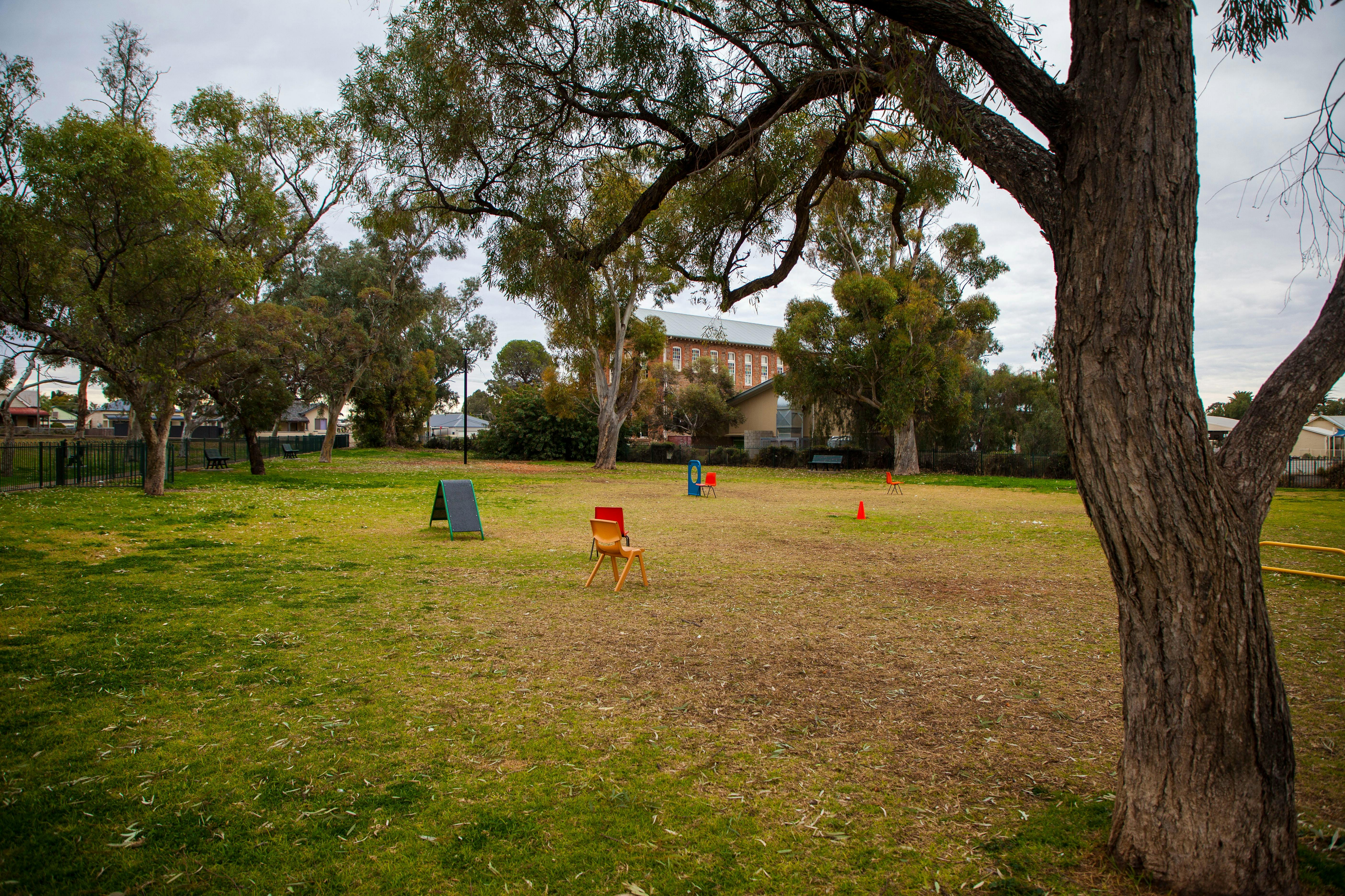 Queen Elizabeth Park (Dog Park)