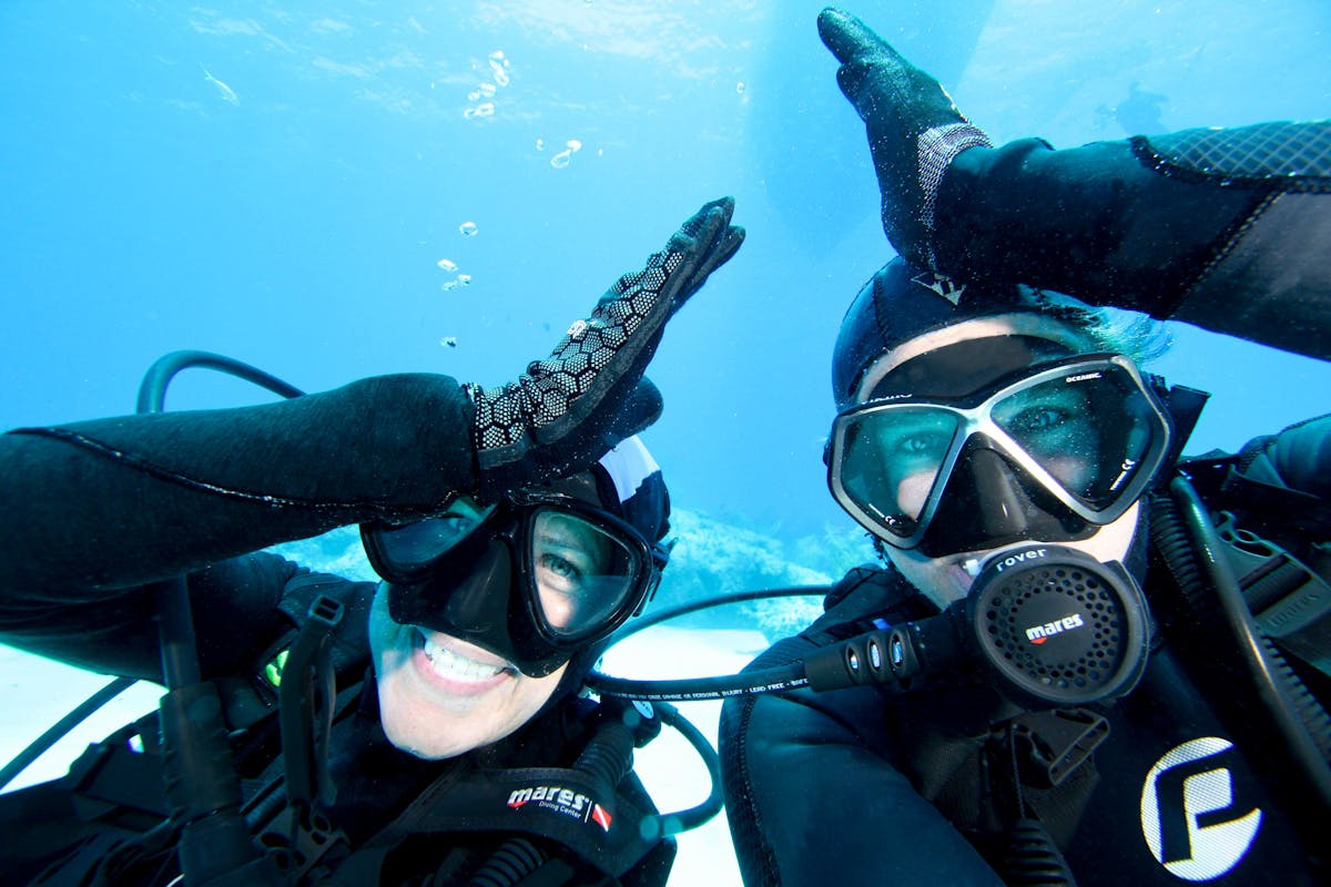 Certified Diving with Night Dives available