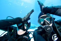 Certified Diving with Night Dives available