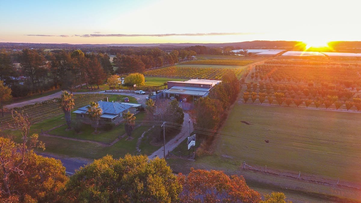 Autumn at Summit Estate