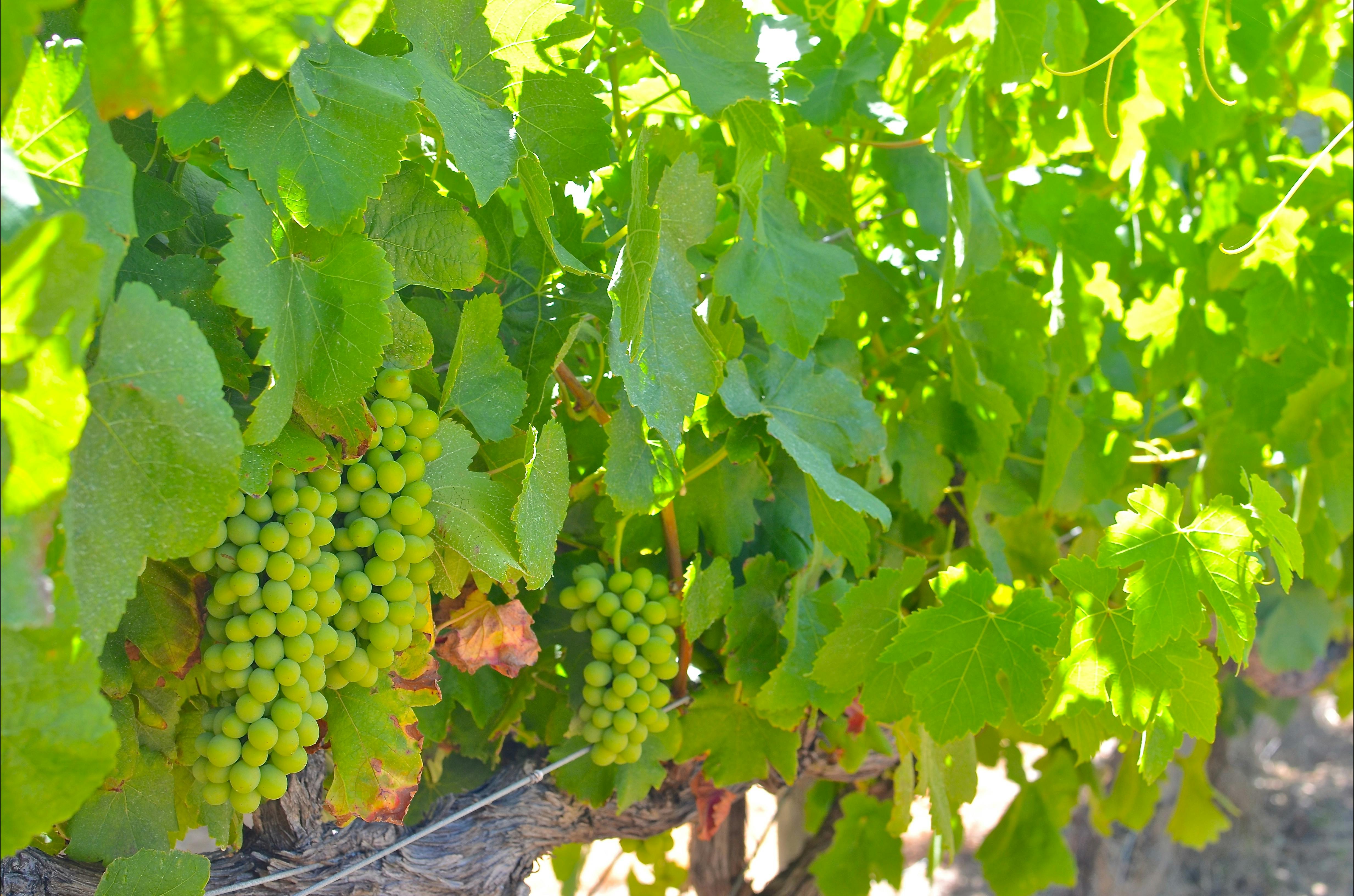 South West Eco Discoveries, Abbey, Western Australia