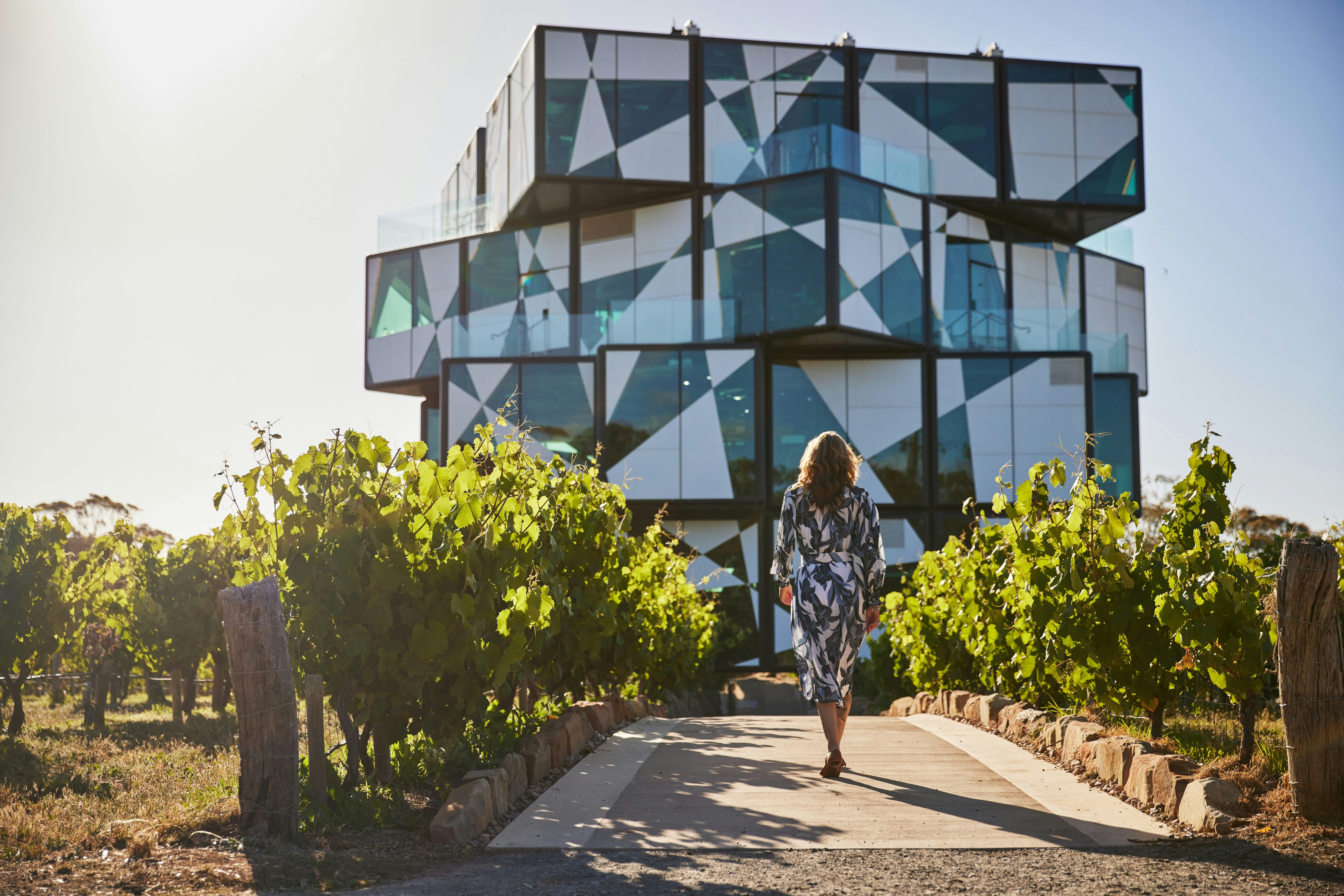 d'Arenberg Cube among leafy vines with a woman walking towards it on the Fleurieu Peninsula Tour