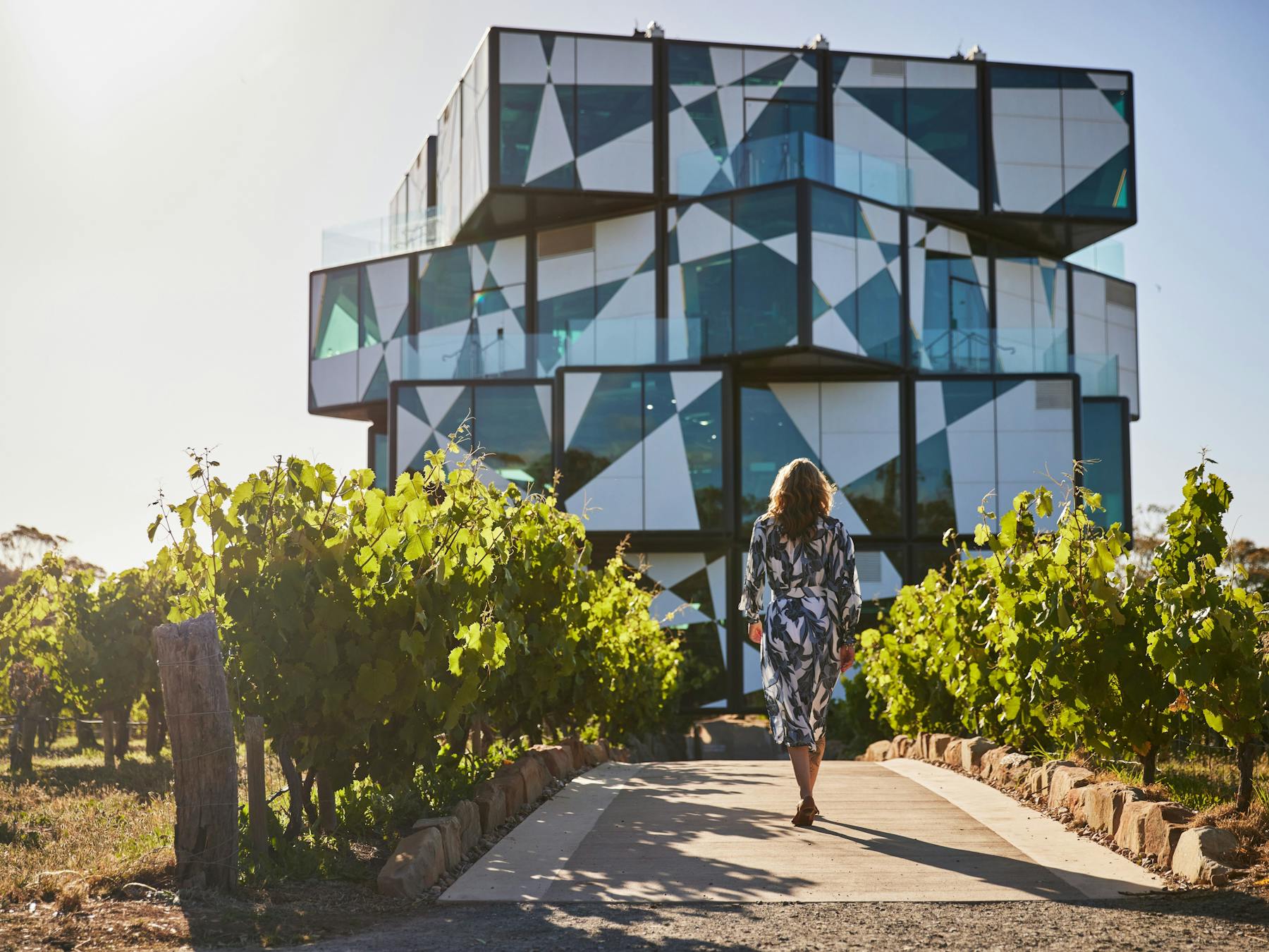 d'Arenberg Cube among leafy vines with a woman walking towards it on the Fleurieu Peninsula Tour