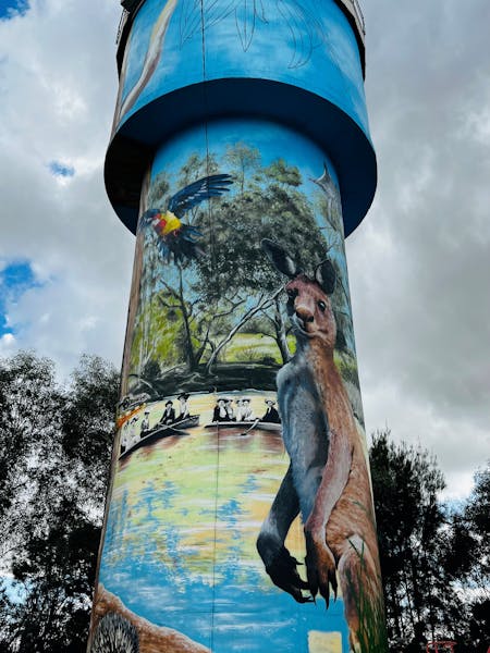 Kangaroo scene on the tower. Kangaroo standing next to the Gum swamp with people canoeing.