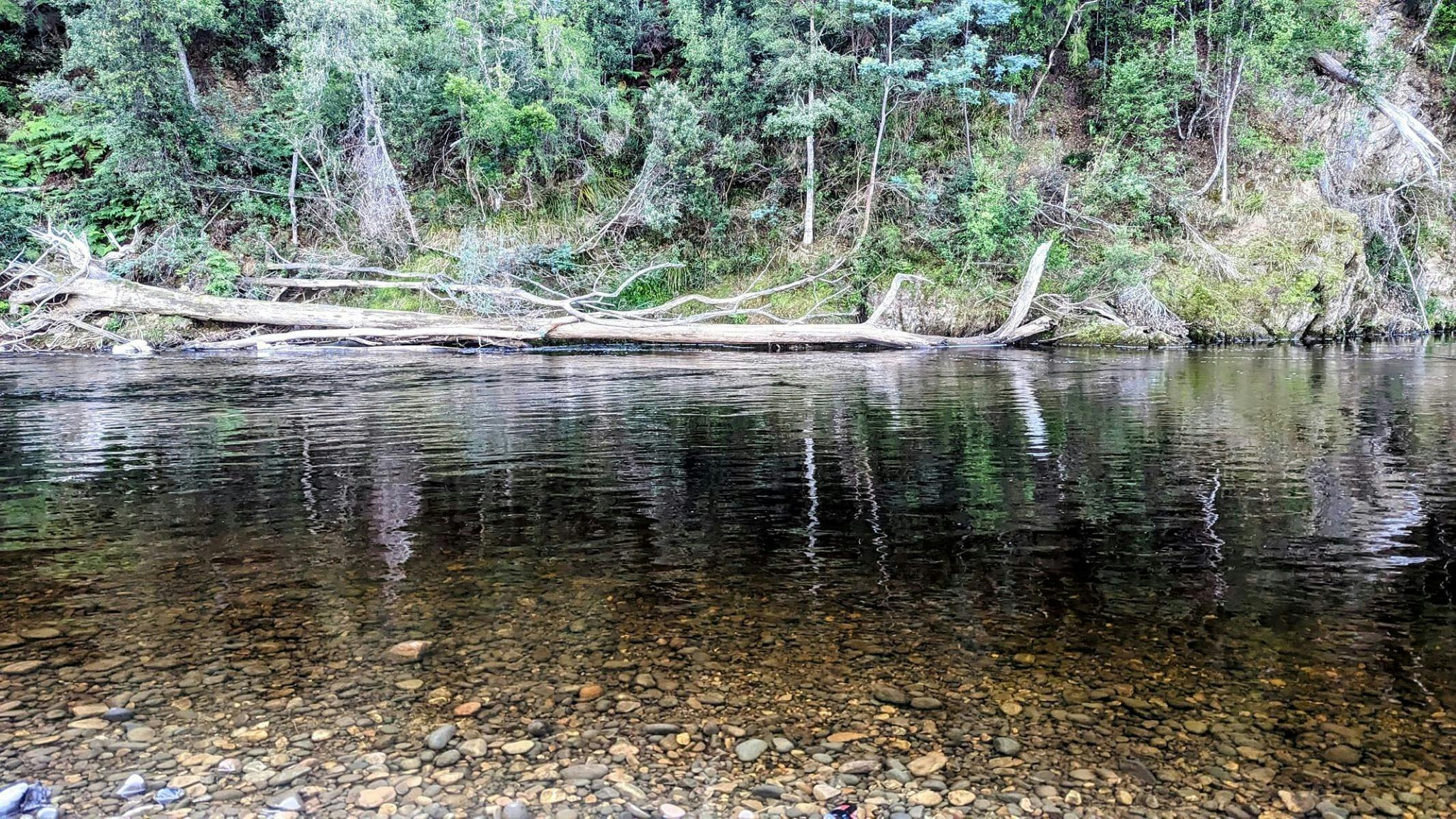 Rockin' By The River