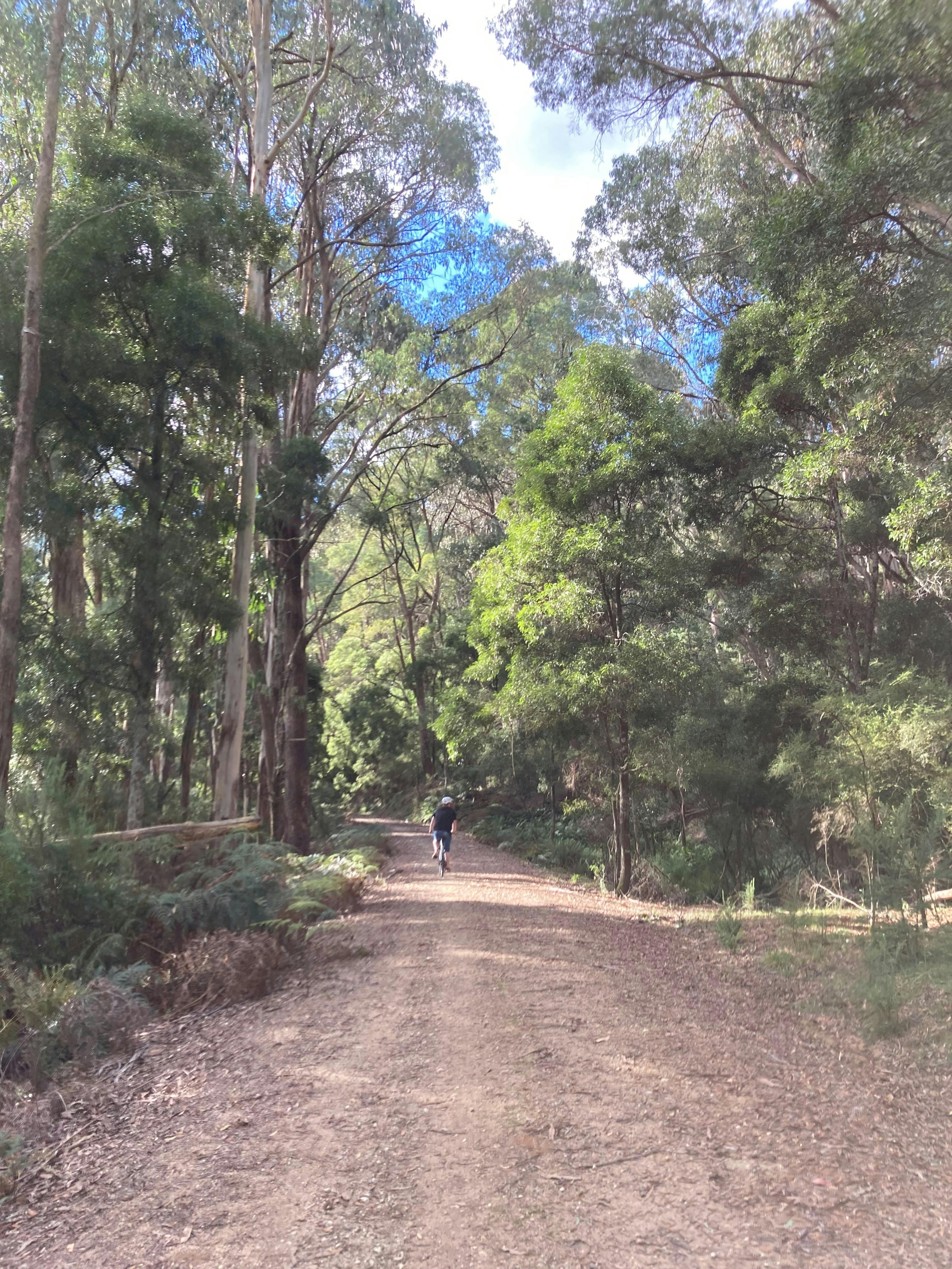 Tallangatta Tall Trestle Treadle