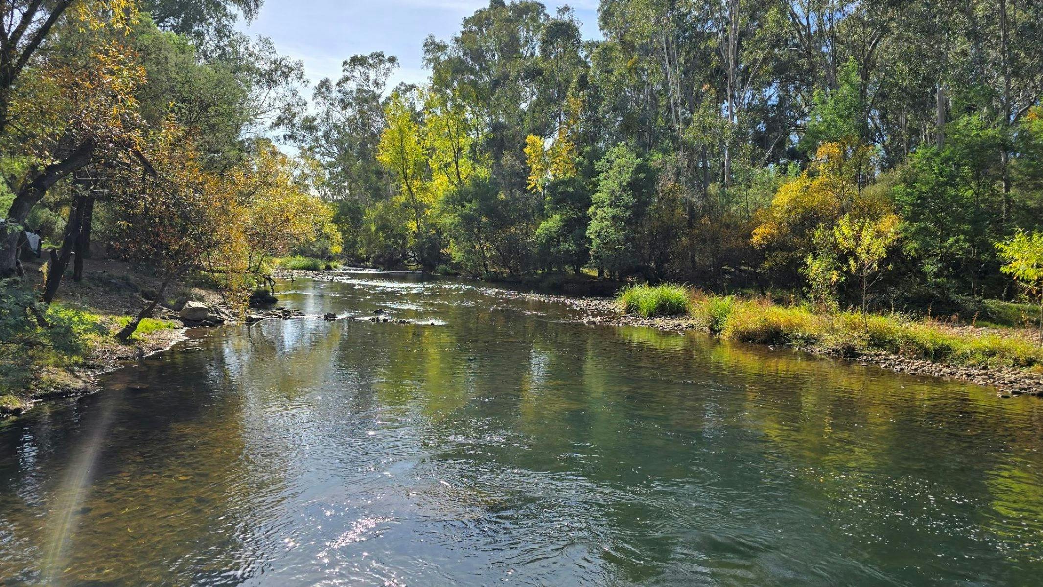 Wide shot of a river with trees along the edges and blue sky
