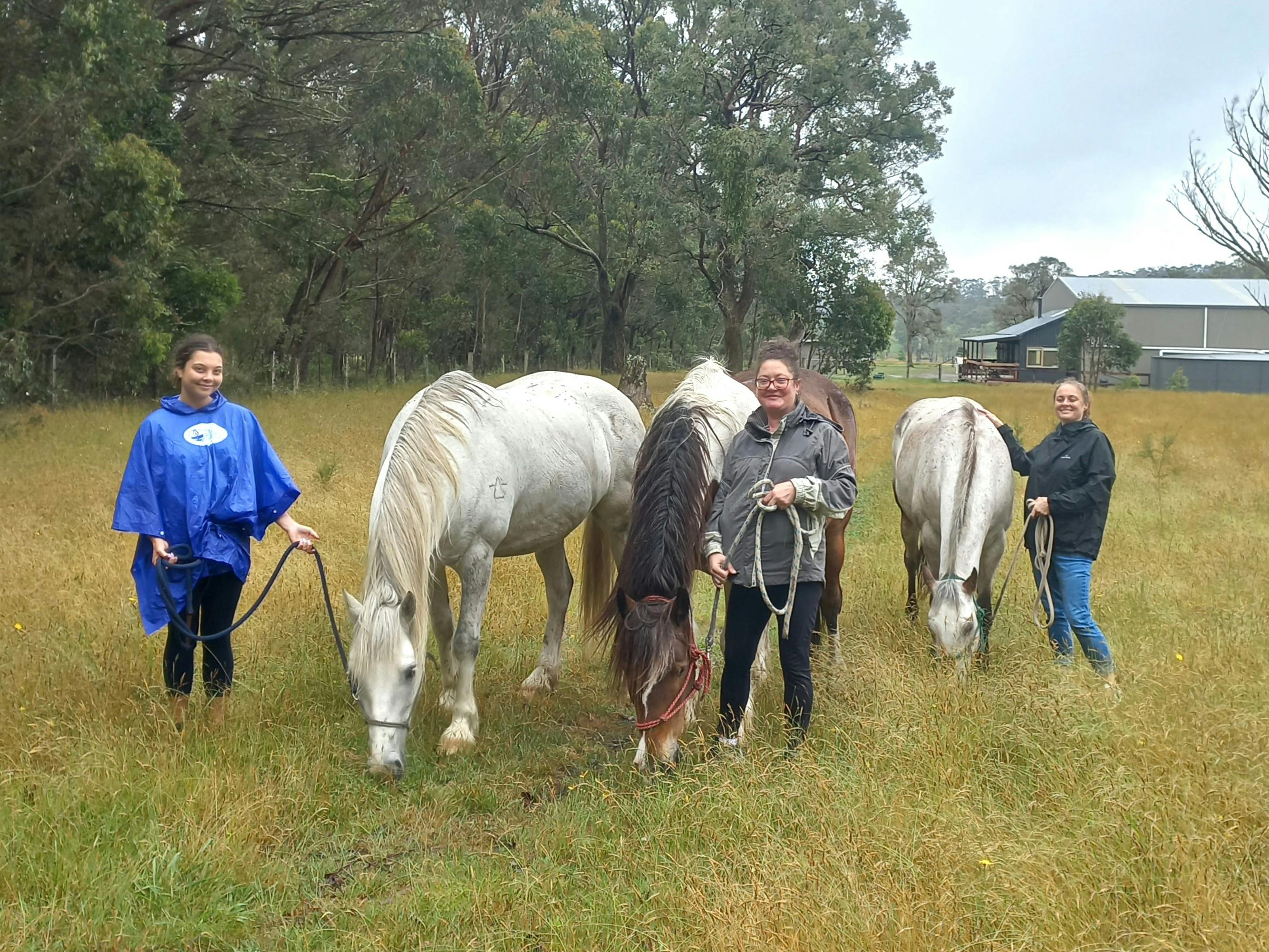 women standing with horses in paddock