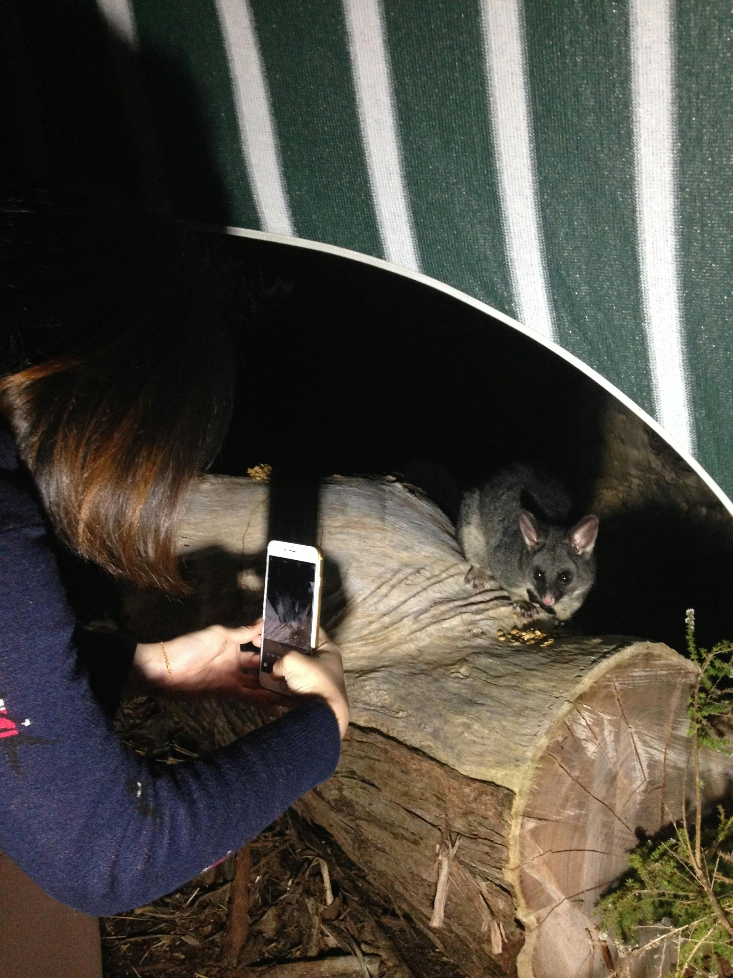 South West Eco Discoveries, Abbey, Western Australia