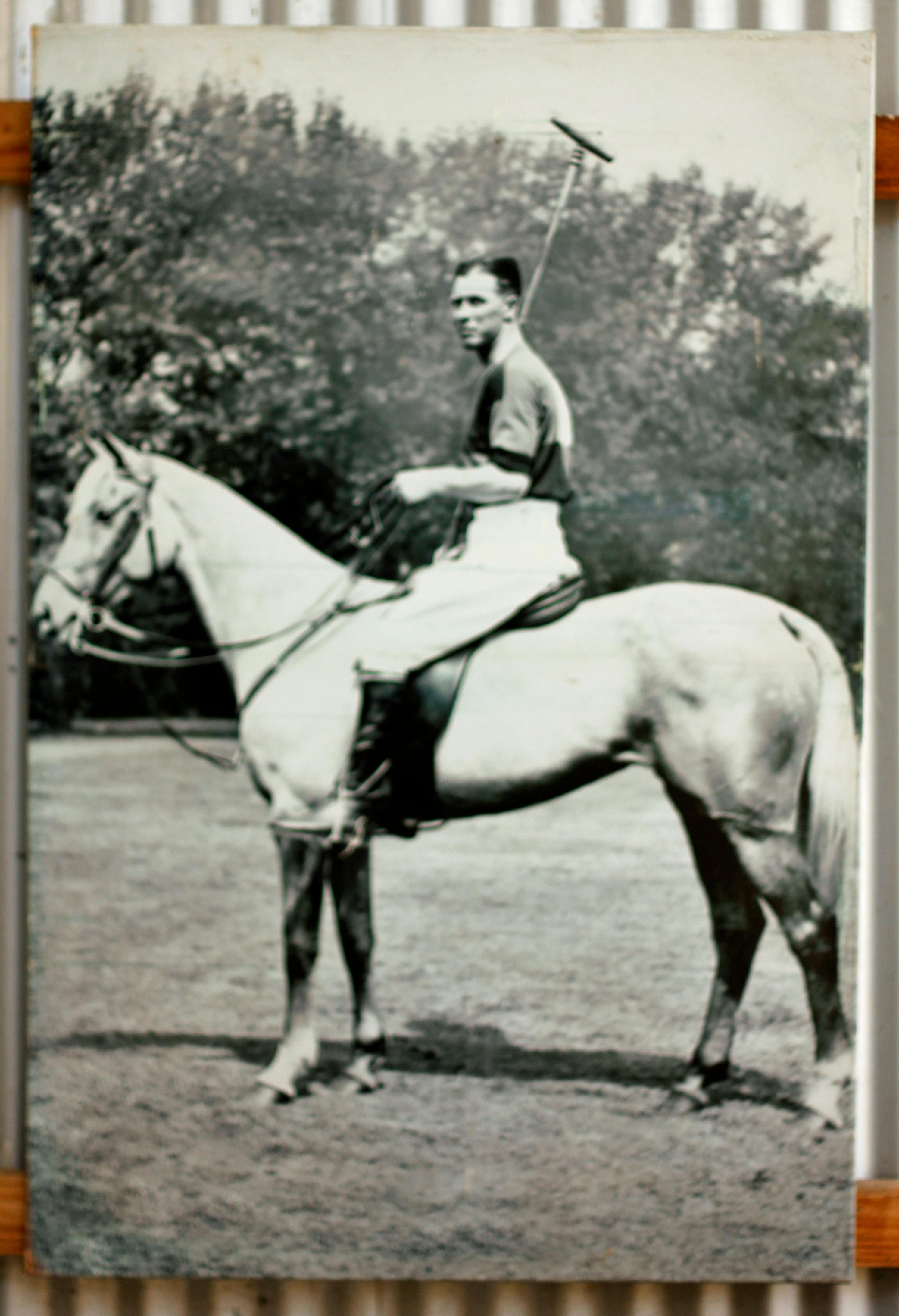 Famous Ashton polo pony 1930's